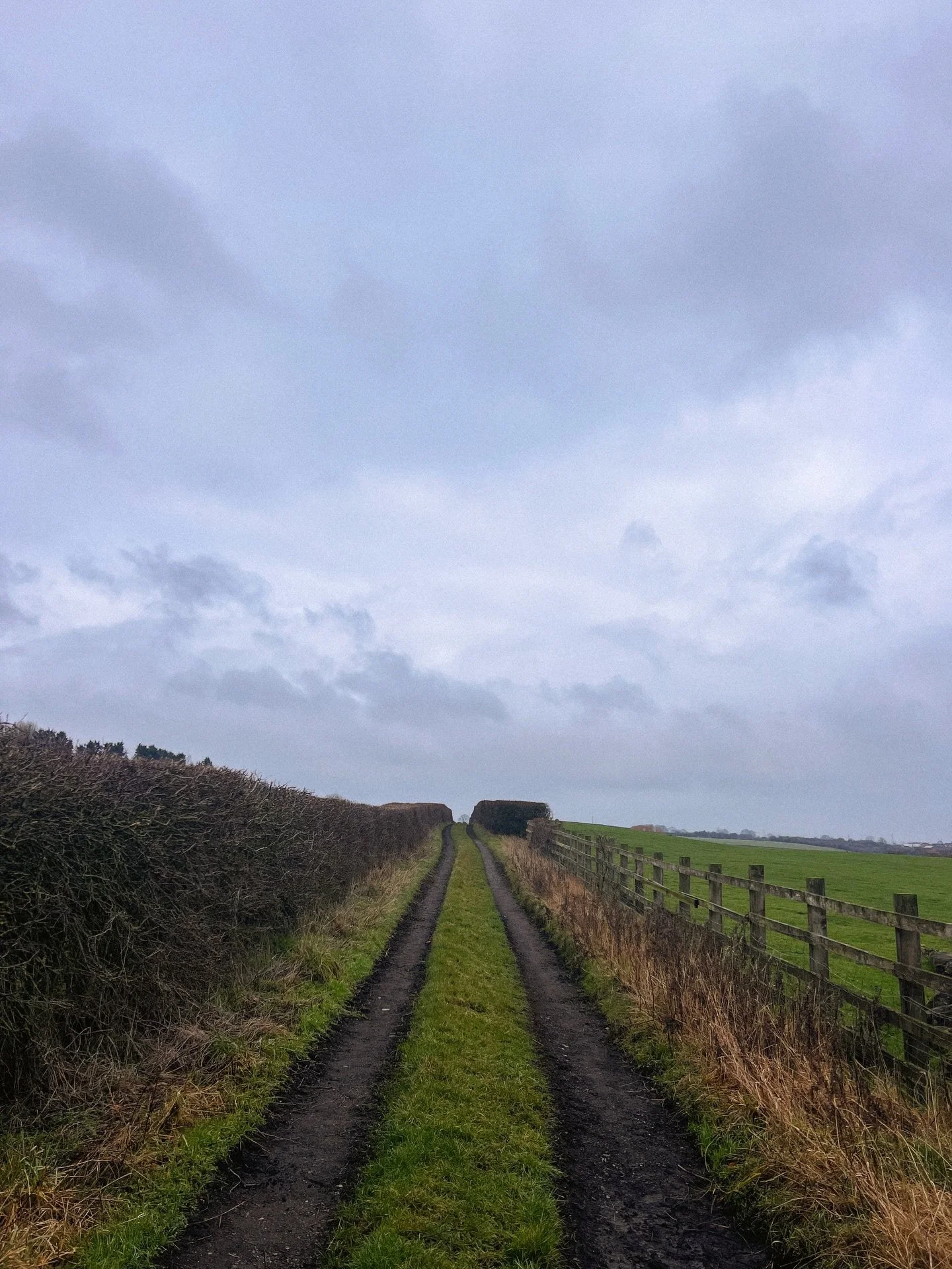 stomping through the English countryside 🥾
.
.
.
.
.
.
.
.
.
.
.
.
.
.
.
#countydurham #countrysidelife #countrysideliving #countrysidephotography #countrywalks