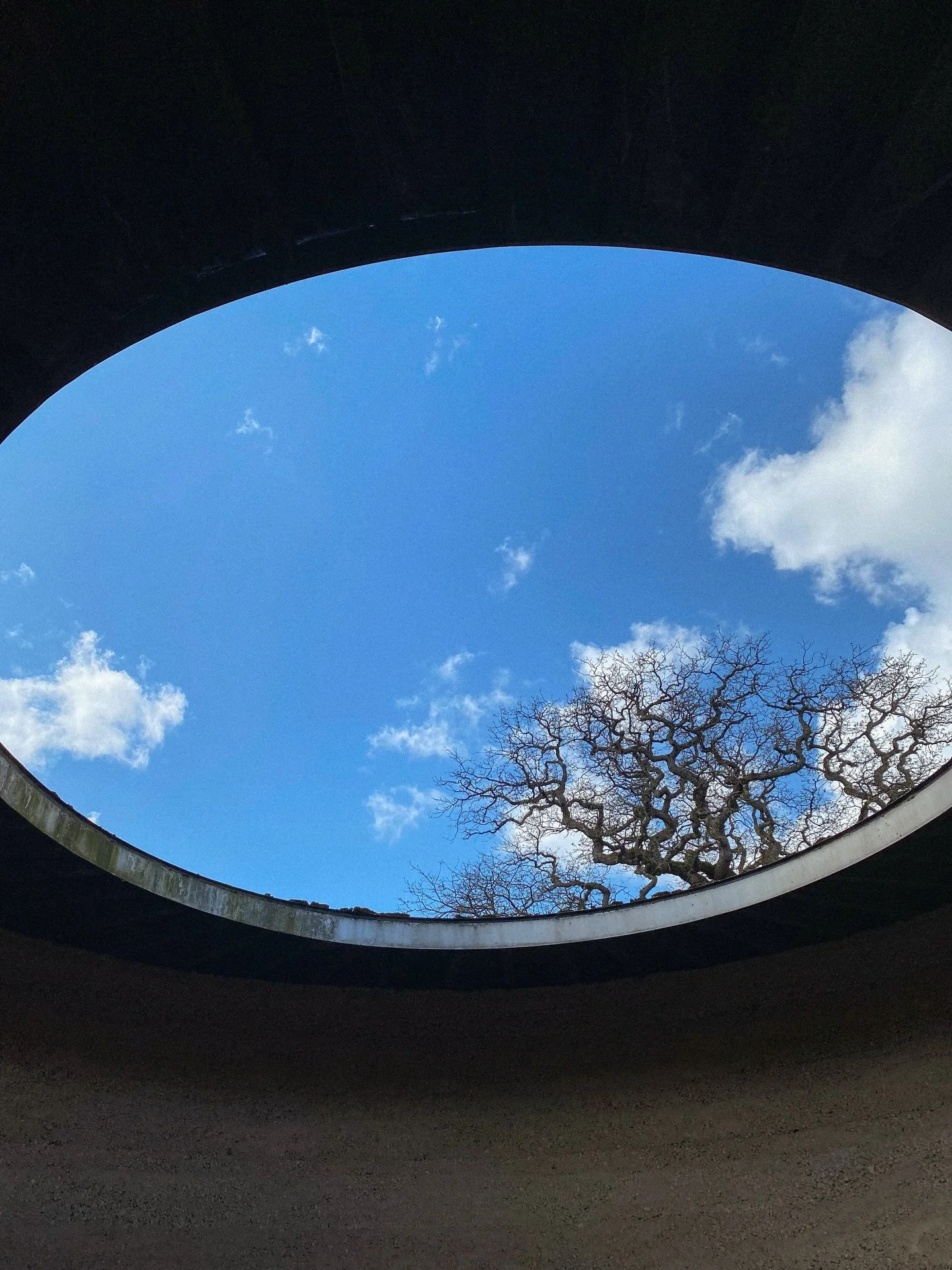 the peaceful and contemplative architectural installation - Writ in Water - @runnymedent 💭
.
.
.
.
.
.
.
.
.
.
.
.
.
.
.
#nationaltrust #runnymede #lightphotography #sculpturegarden #peacefulplaces