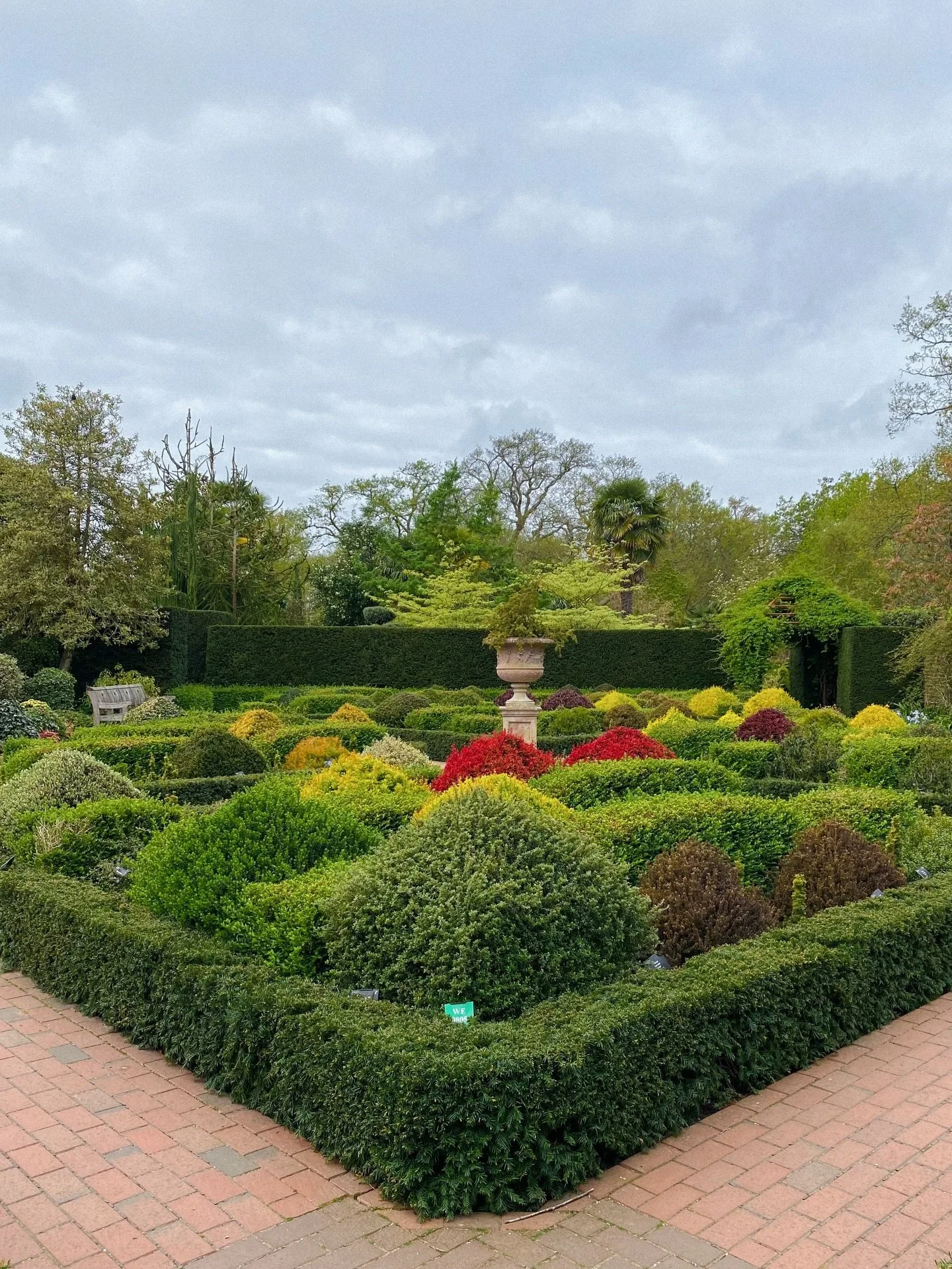 love the rounded neatness of @rhswisley&rsquo;s walled garden 🌿
.
.
.
.
.
.
.
.
.
.
.
.
.
.
.
#gardentherapy #countrysidelife #countrysideliving #countrysidephotography #gardenphotography