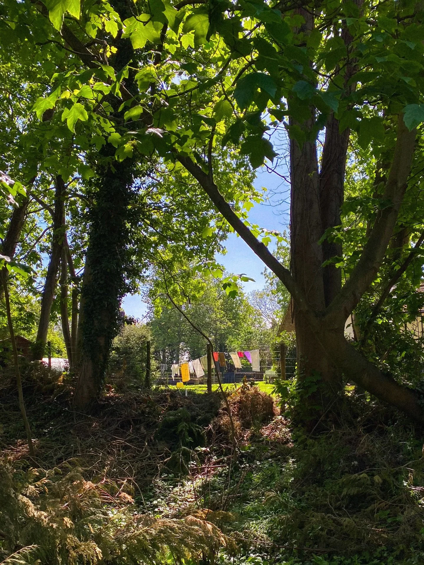laundry drying on the warm breeze 🌬️
.
.
.
.
.
.
.
.
.
.
.
.
.
.
#clothesline #countrysidelife #countrysideliving #theartofnoticing #theartofliving