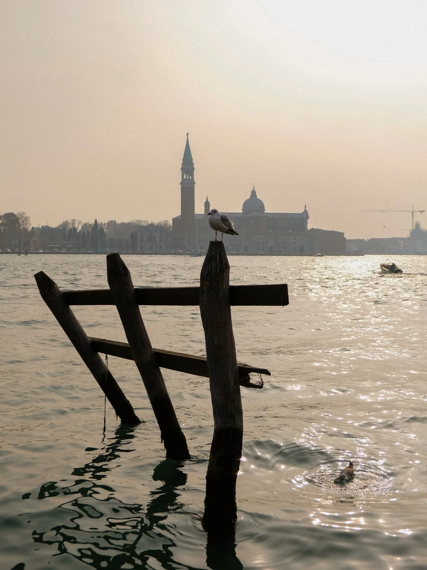 venice&rsquo;s ethereal hue 🌬️
.
.
.
.
.
.
.
.
.
.
.
.
#venicephotographer #photovogue #veneziagram #mytinyatlashello #onearthmagazine