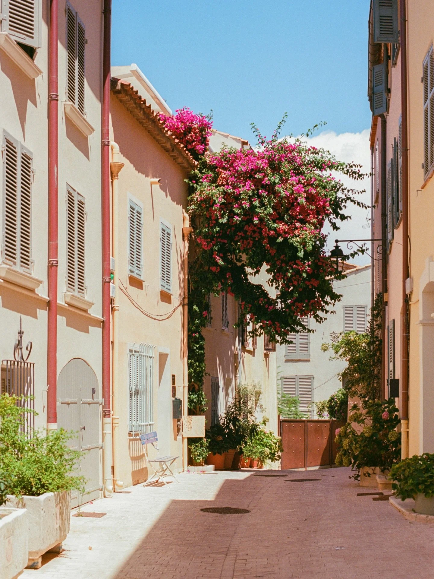 bougainvillea &amp; buildings 🌸
.
.
.
.
.
.
.
.
.
.
.
#sttropez #photovogue #c&ocirc;tedazur #onearthmagazine #35mmfilmphoto