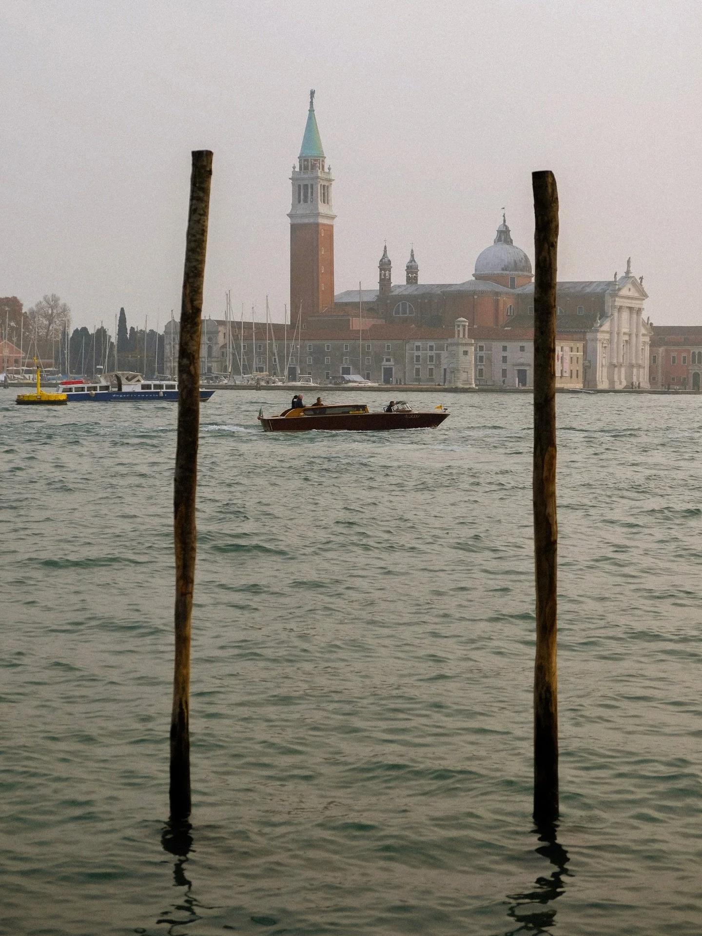 a rose between two thorns 🚤
.
.
.
.
.
.
.
.
.
.
.
.
#venicephotographer #photovogue #veneziagram #mytinyatlashello #onearthmagazine
