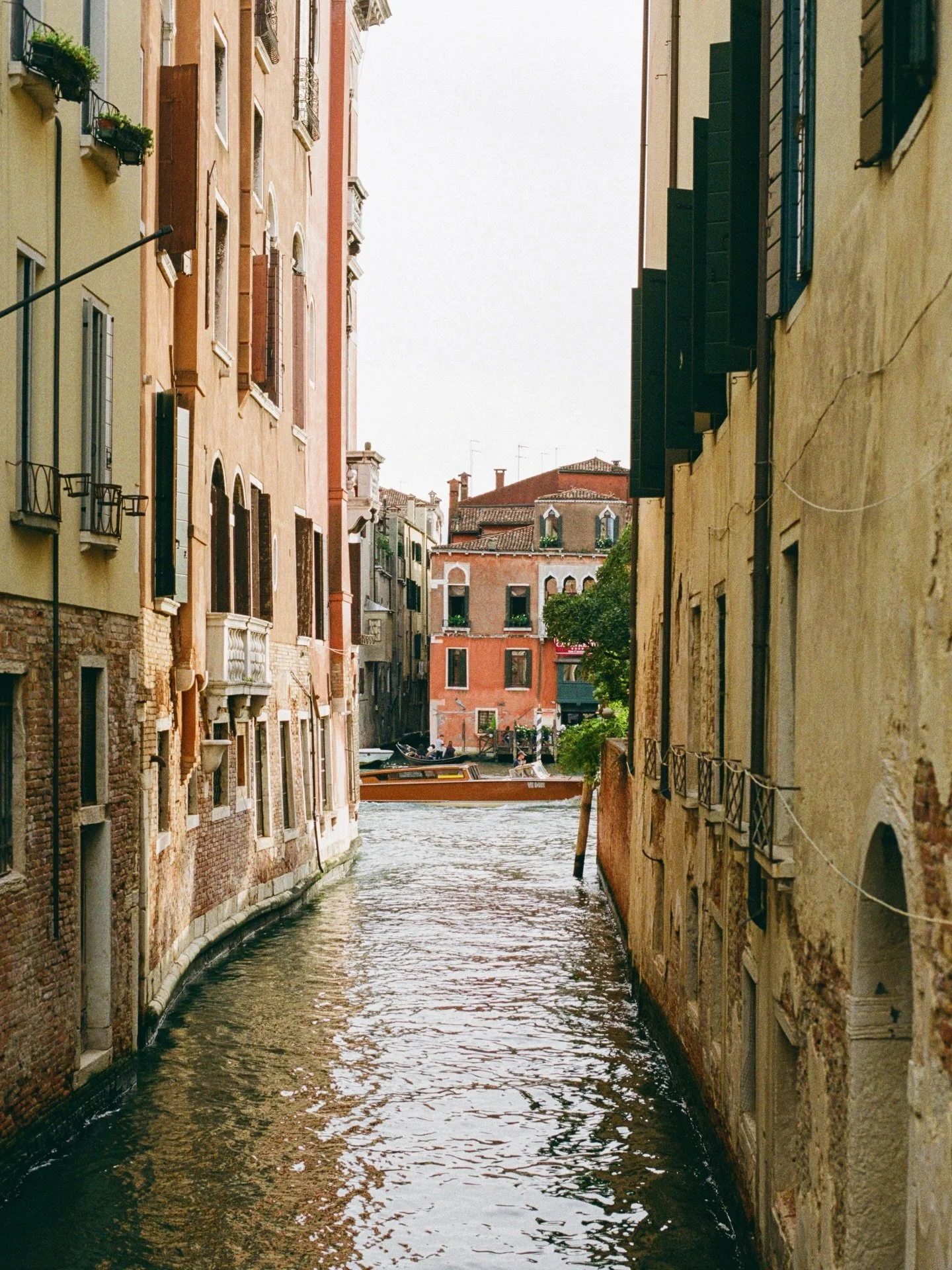 canals on canals 🚤
.
.
.
.
.
.
.
.
.
.
.
.
#venicephotographer #photovogue #veneziagram #mytinyatlashello #onearthmagazine