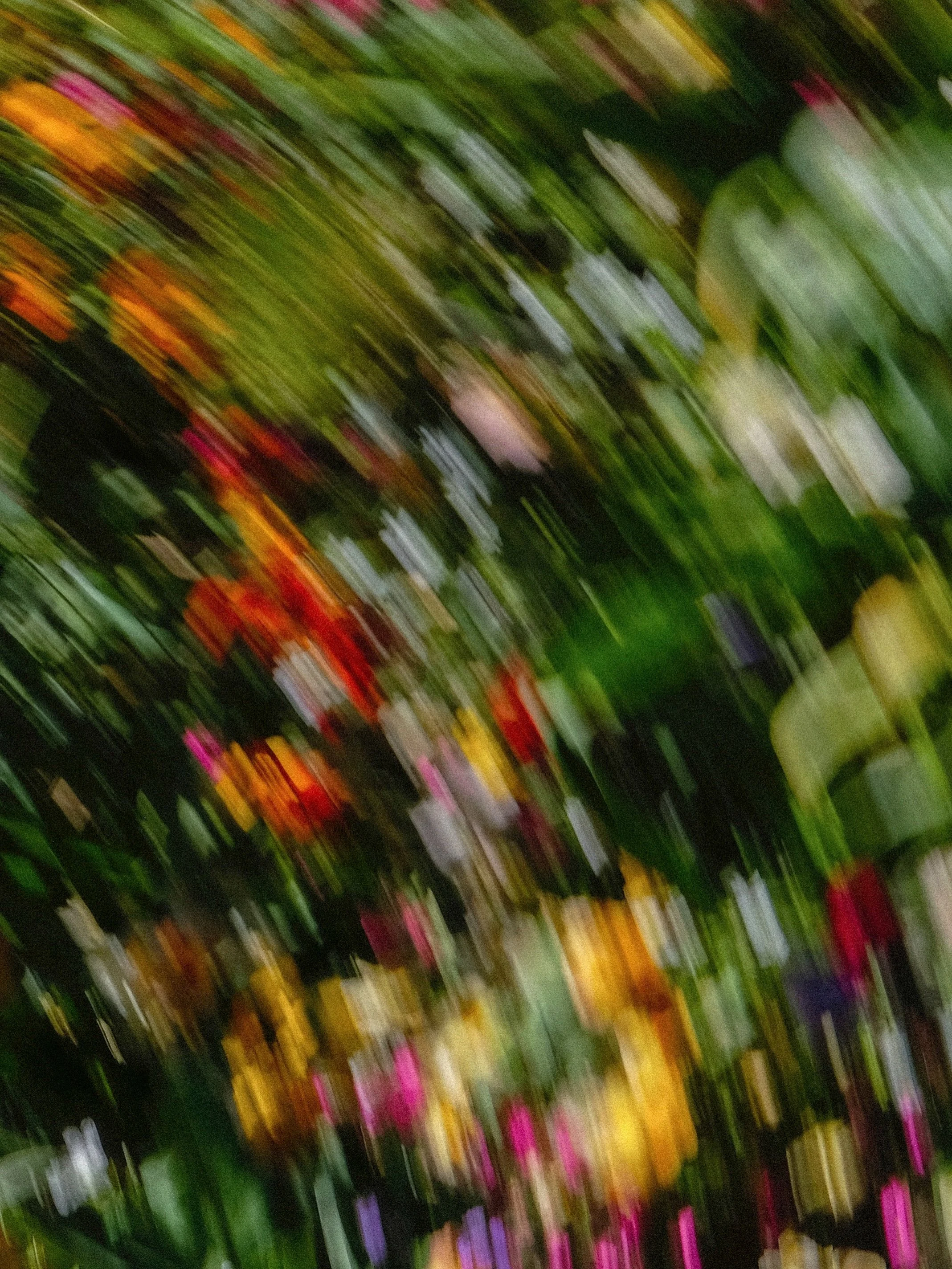 ethereal shots from @maisonjardinsclaudemonet 🍃
.
.
.
.
.
.
.
.
.
.
.
.
.
.
#gardentherapy #mytinyatlas #gardenlover #photovogue #flowerphotos