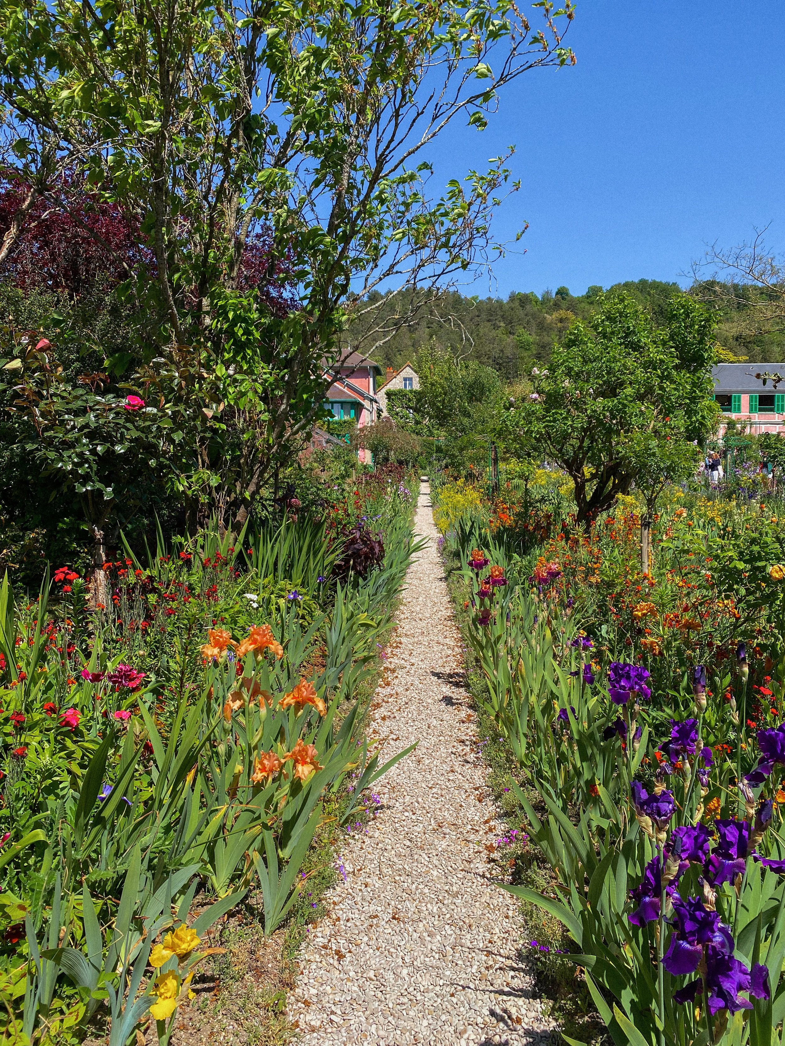 &lsquo;I must have flowers, always, and always&rsquo;.

- Claude Monet 🌸🌹🍃🪻🌿🪷🌷🌳🌺
.
.
.
.
.
.
.
.
.
.
.
#artstudiolife #claudemonet #gardentherapy #giverny #explorefrance