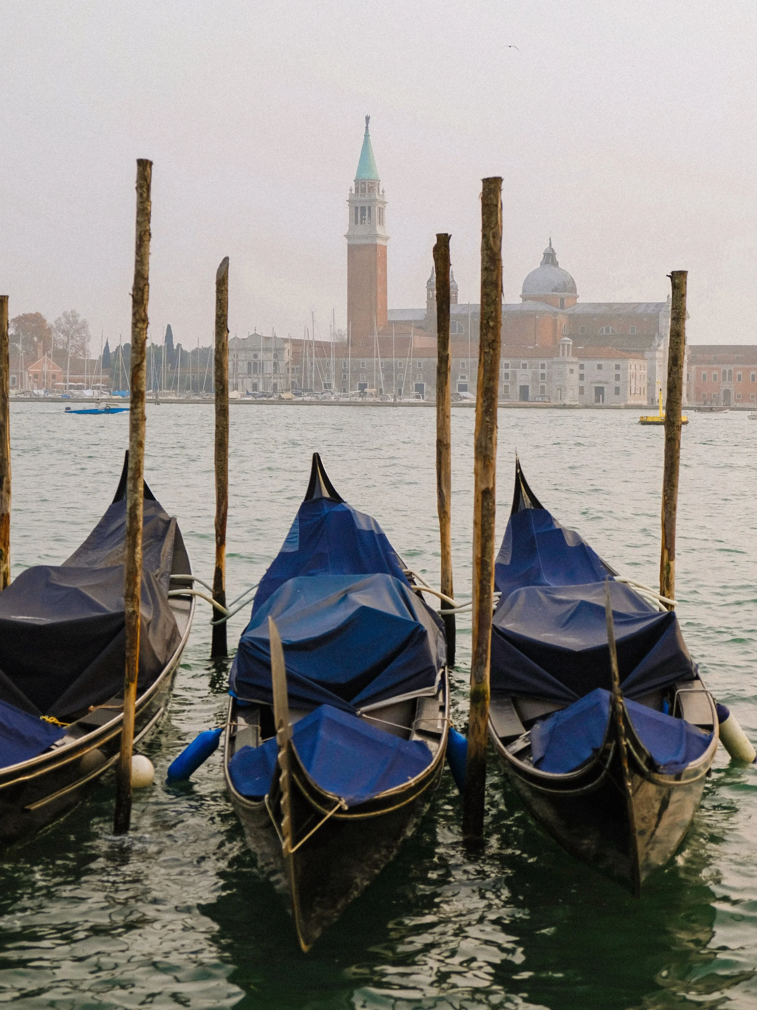 bobbing blue 🛶
.
.
.
.
.
.
.
.
.
.
.
.
#venicephotographer #photovogue #veneziagram #mytinyatlashello #onearthmagazine