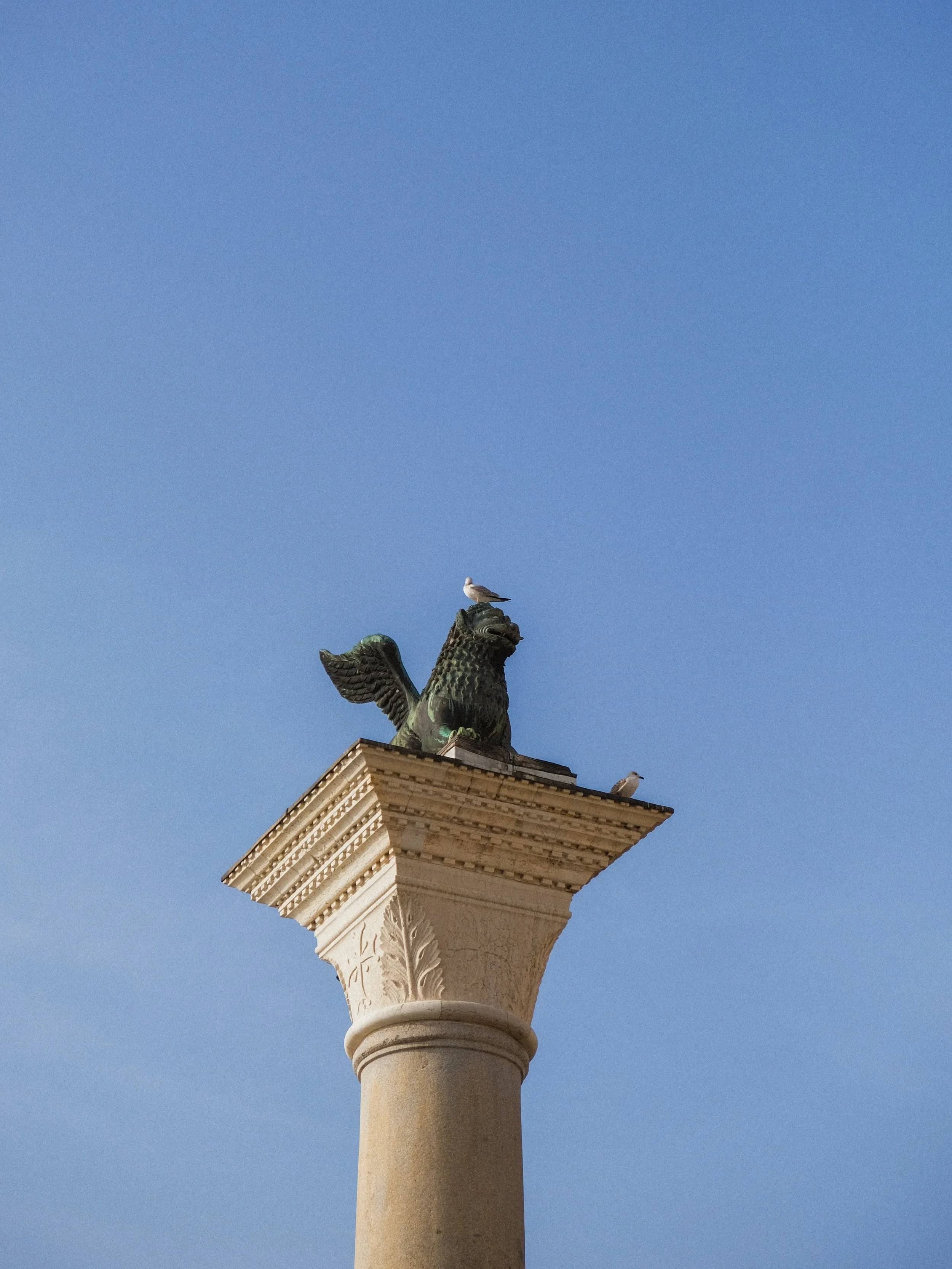 the Lion of Saint Mark is the ultimate symbol of Venice, representing both the city and its patron saint 🦁🪽
.
.
.
.
.
.
.
.
.
.
.
.
#venicephotographer #photovogue #veneziagram #mytinyatlashello #onearthmagazine