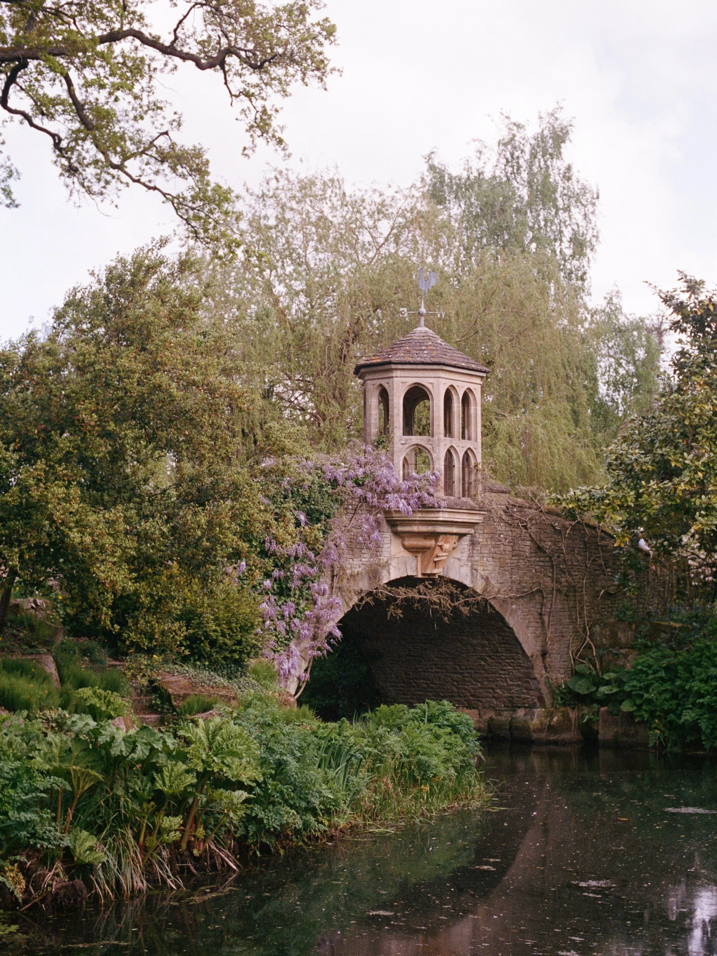 one of our spring highlights was visiting Dunsborough gardens, not least because of the whimsical views like this. the house has been recently sold but we do hope that in a few years the new owners reopen their gardens to visitors to enjoy the ethere