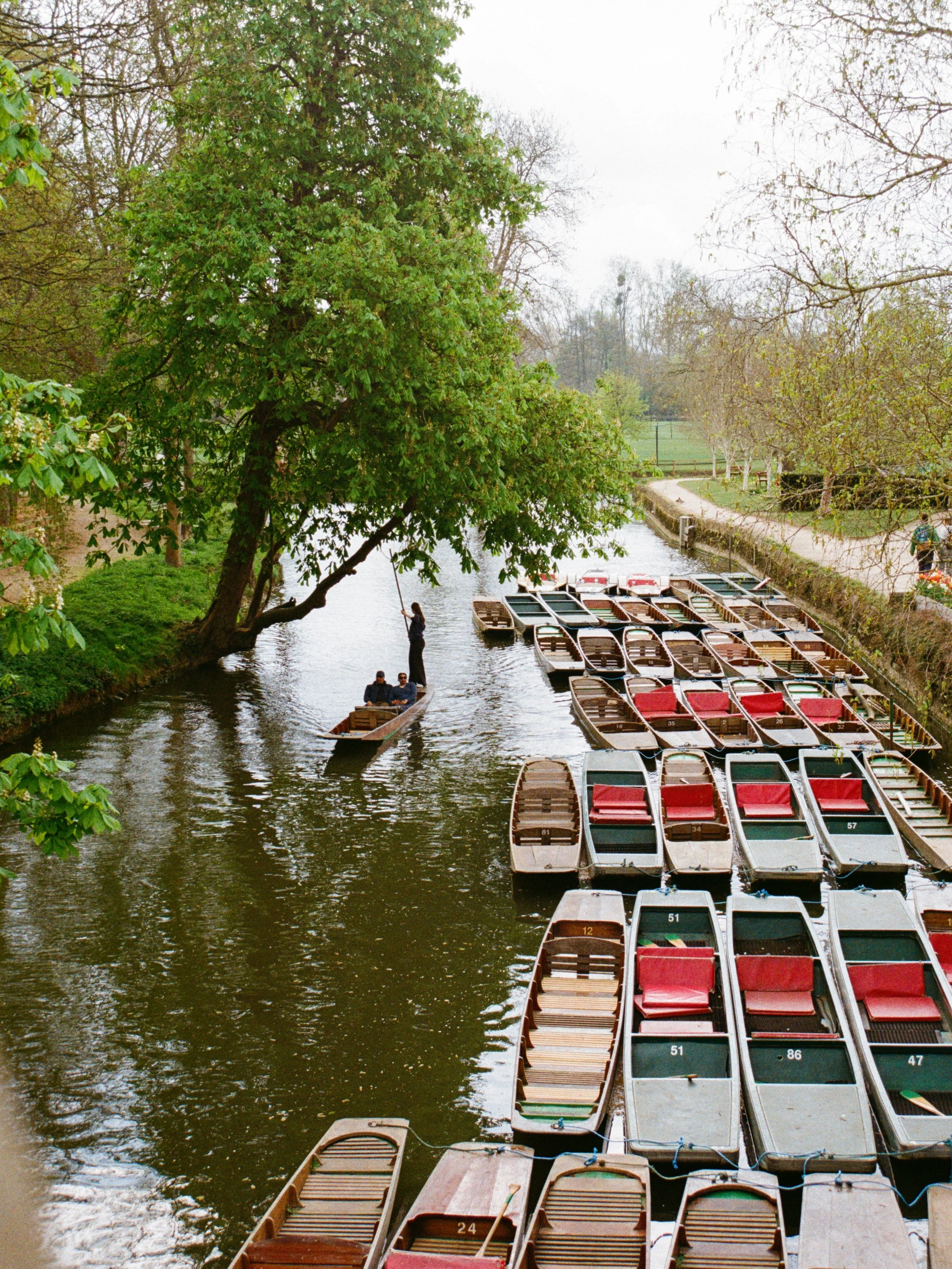 oxford scenes 🛶
.
.
.
.
.
.
.
.
.
.
.
.
.
.
.
#punting #countrysidelife #countrysideliving #oxforduniversity #oxfordshire
