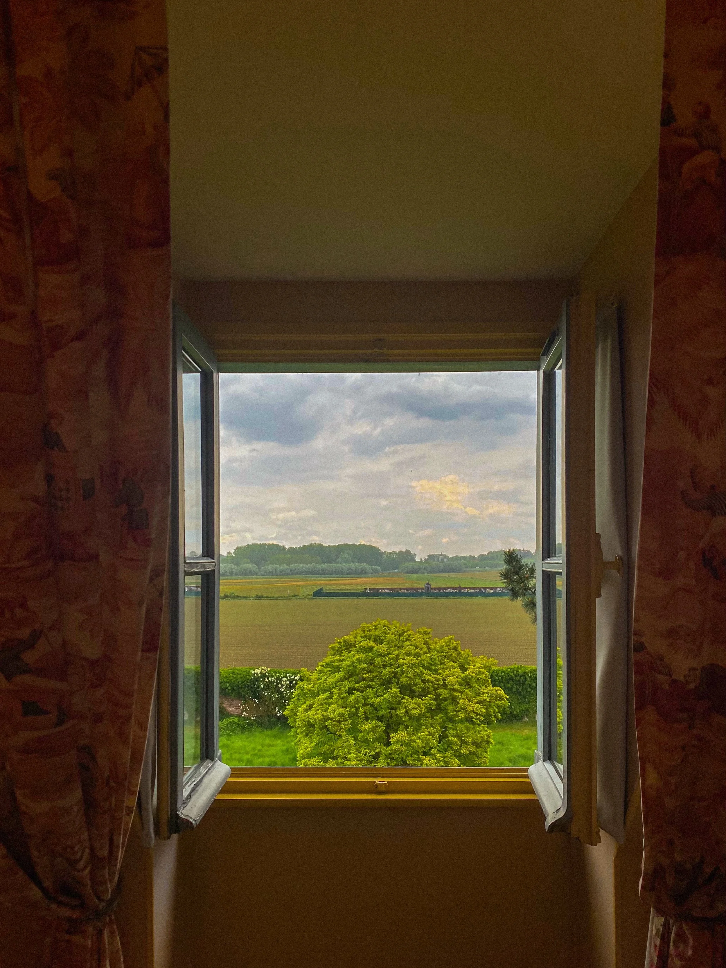 petrichor: the distinct, earthy fragrance that fills the air when rain hits dry soil after a dry spell 🪟⛈️🌈
.
.
.
.
.
.
.
.
.
.
.
#windowview #oneearthmagazine #petrichor #postcardplaces #summerstorm