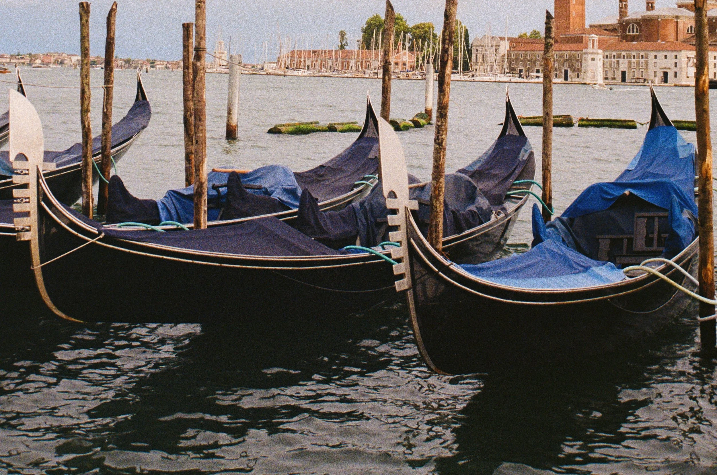 blissful bobbing 🛶
.
.
.
.
.
.
.
.
.
.
.
.
#venicephotographer #photovogue #veneziagram #mytinyatlashello #onearthmagazine