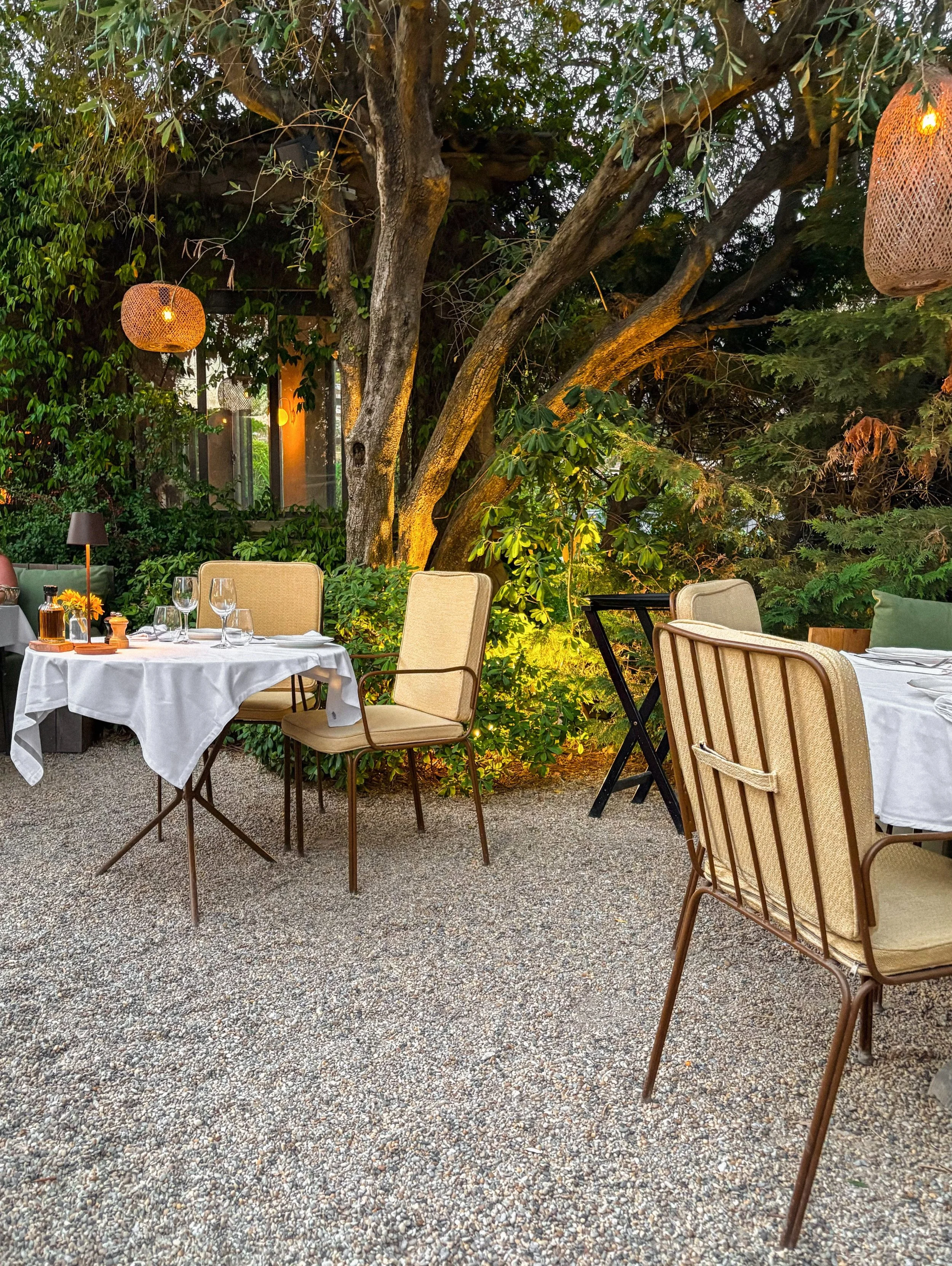 a dreamy dinner setting in the south of france 🍽️
.
.
.
.
.
.
.
.
.
.
.
#sttropez #photovogue #c&ocirc;tedazur #onearthmagazine #35mmfilmphoto