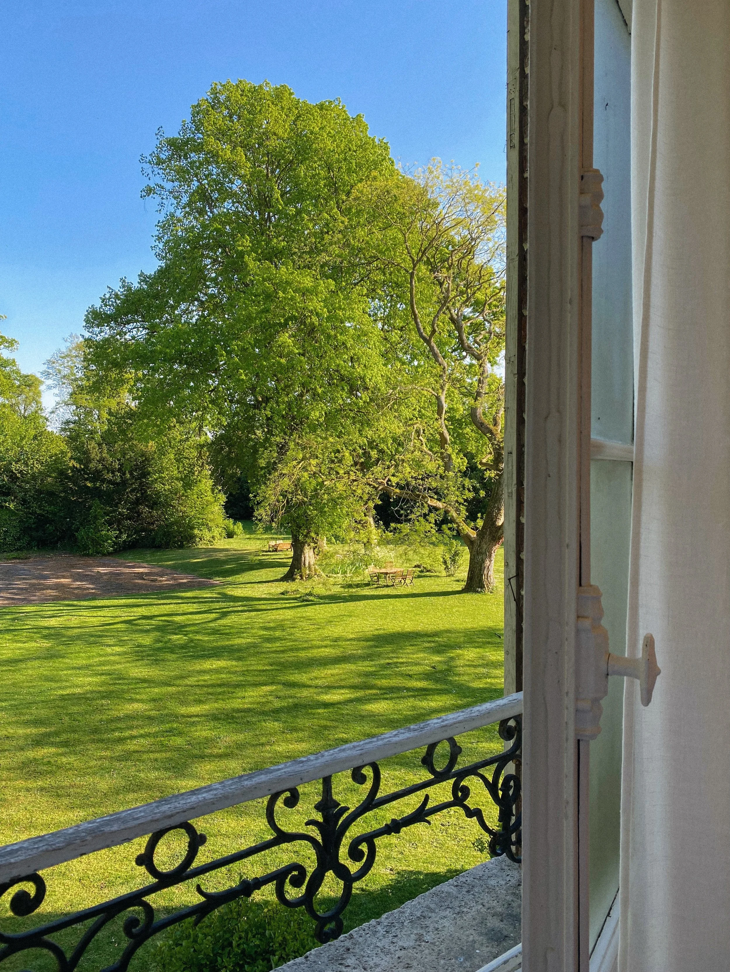 verdant views 🌳
.
.
.
.
.
.
.
.
.
.
.
#windowview #oneearthmagazine #treelover #postcardplaces #viewfrommywindow