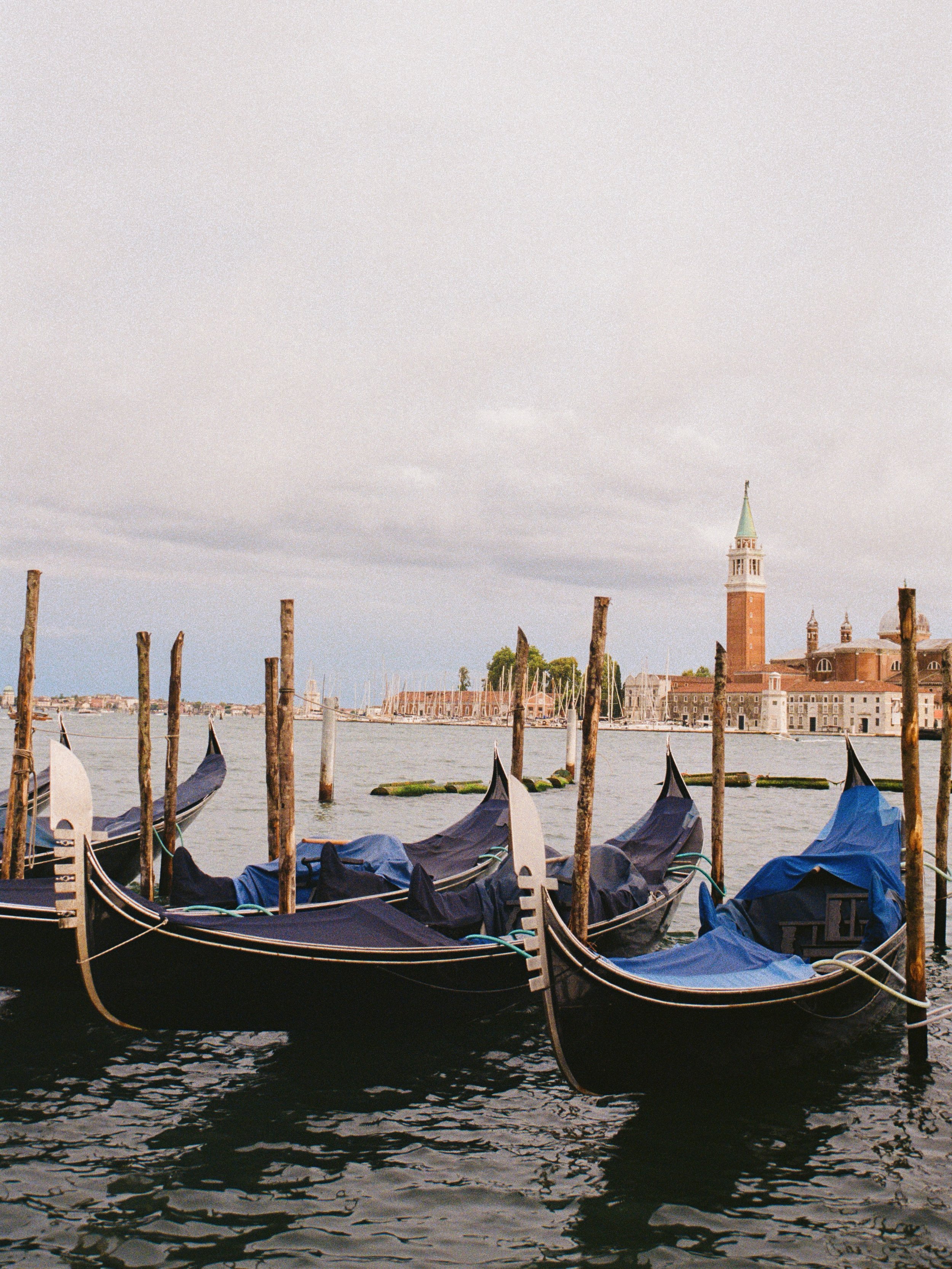 camera roll full with this view 💙
.
.
.
.
.
.
.
.
.
.
.
.
#venicephotographer #photovogue #veneziagram #mytinyatlashello #onearthmagazine