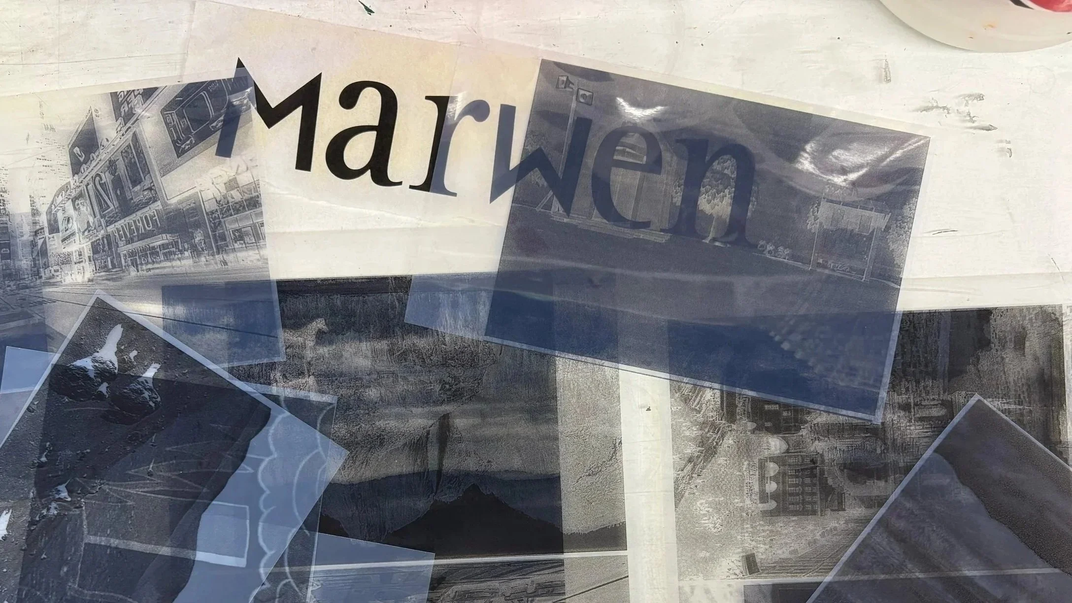 SU25%252BBlueprints%252Bof%252BUs%252BCyanotypes-2.jpg