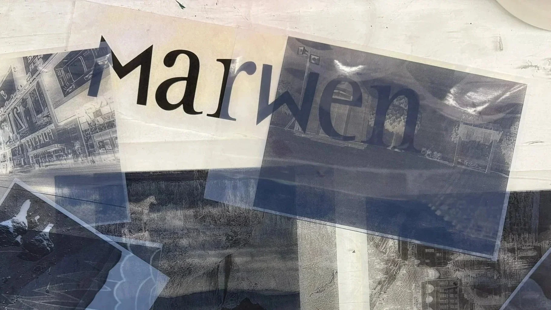 SU25%25252BBlueprints%25252Bof%25252BUs%25252BCyanotypes-2.jpg