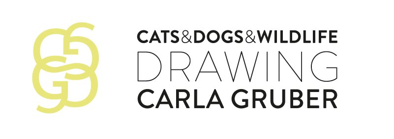 Cats and Dogs Wildlife Drawing