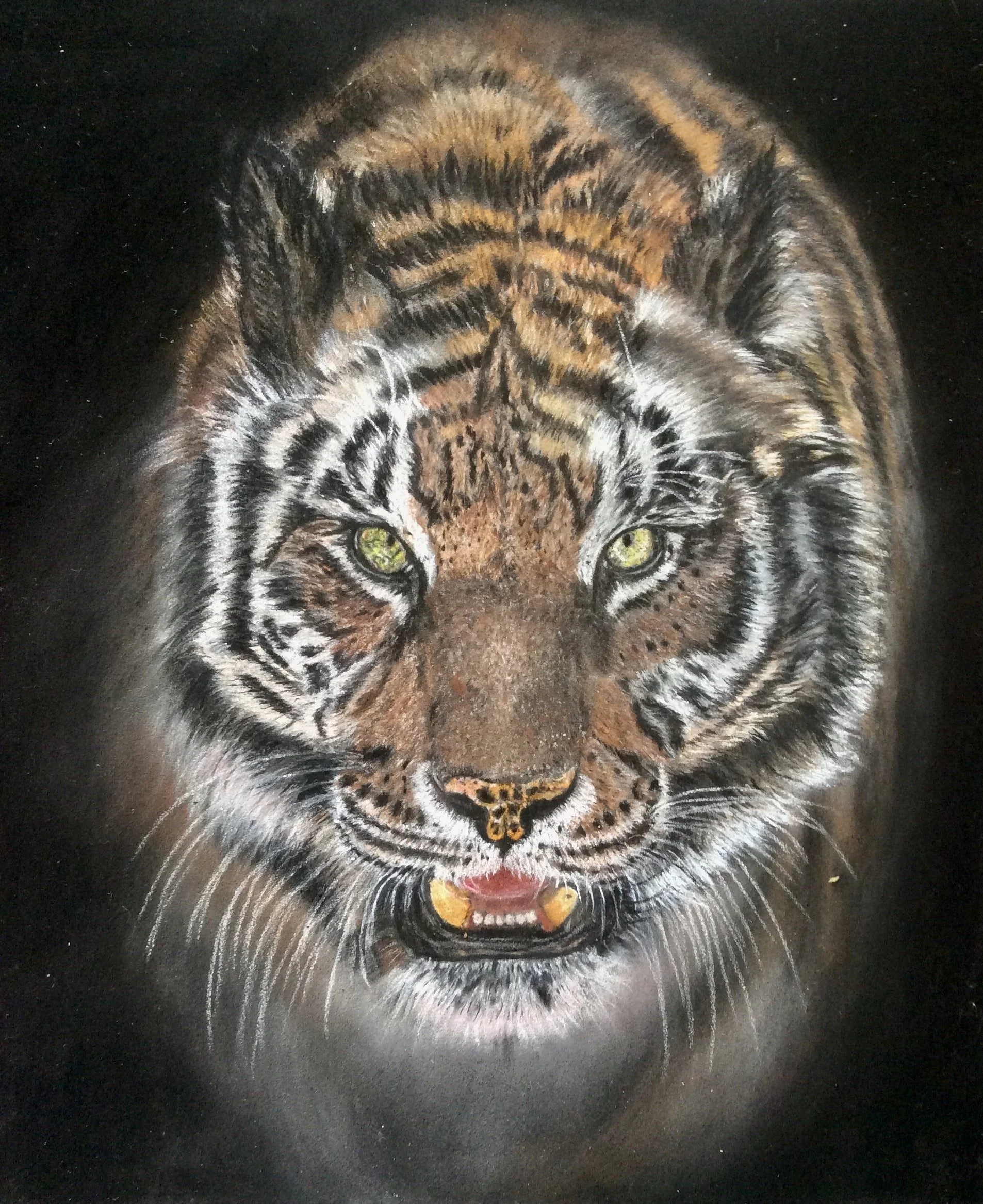 Carla-Gruber-cats-dogs-wildlife-drawing-Lustheim-munich_Tiger_2-aquarell.jpeg