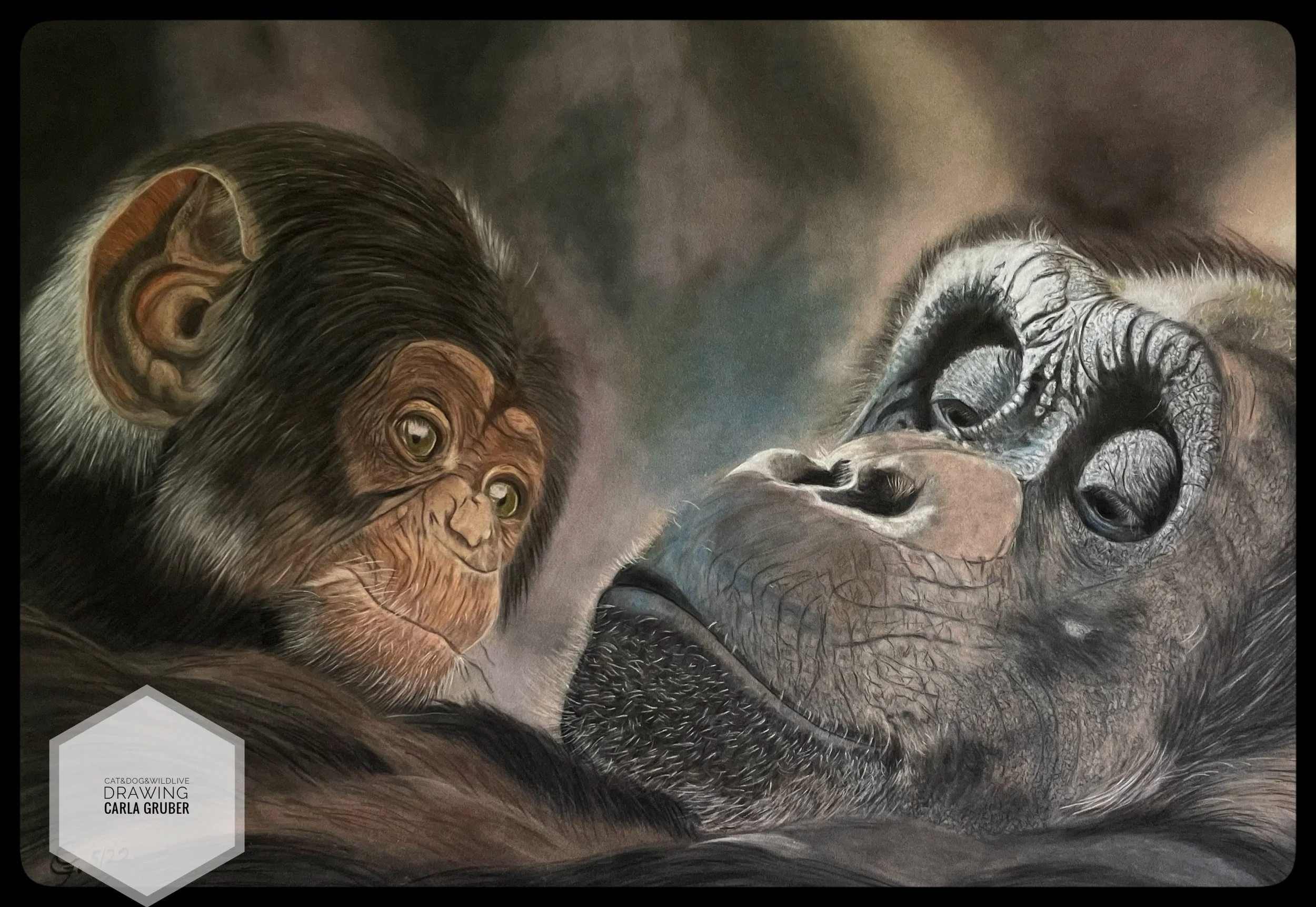 Carla-Gruber-Wildlife-drawing-Lustheim-munich_Schimpansen_Mutterliebe-zeichnung_9.jpeg
