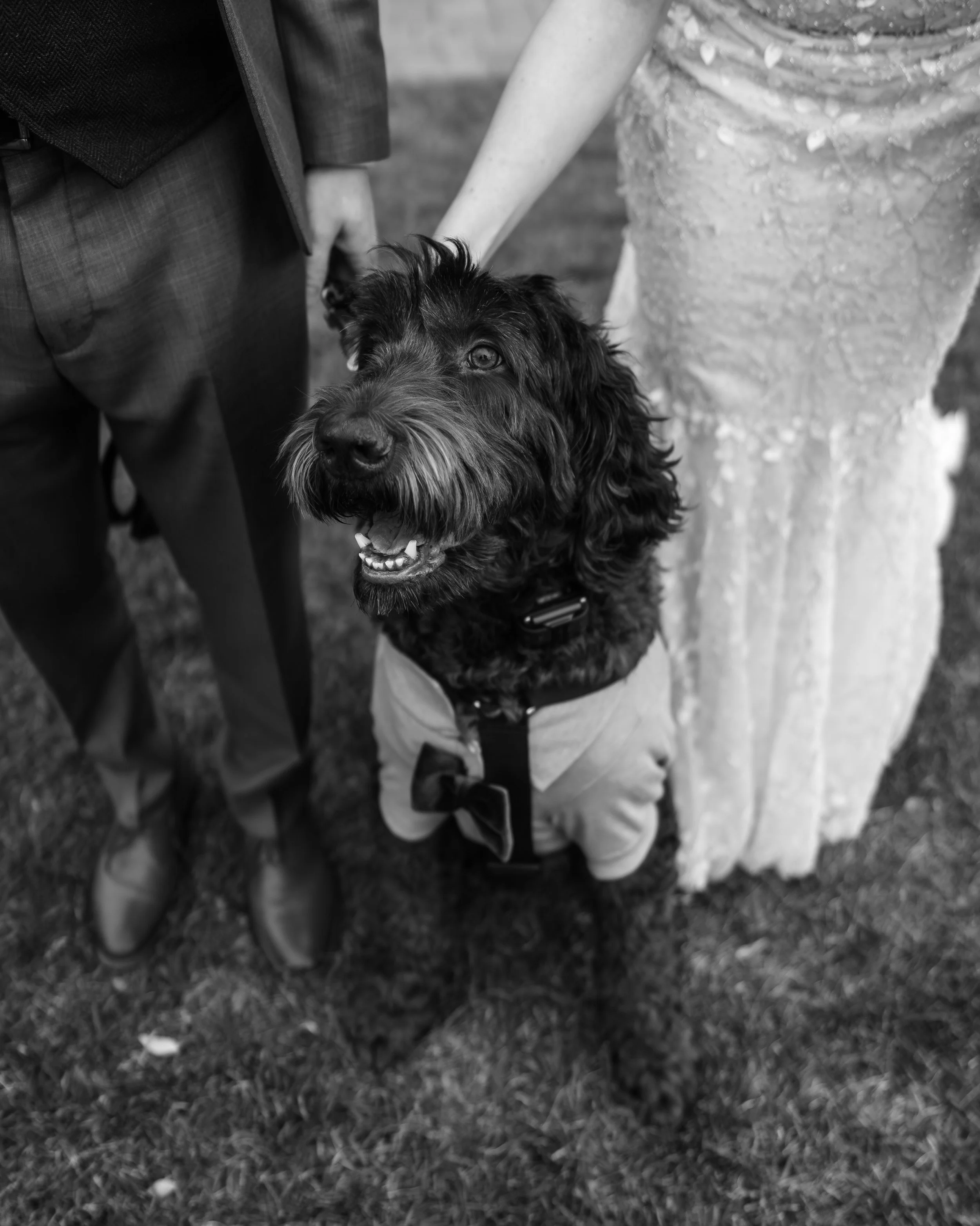 Angie and Robby - Wedding Day Sneak Peeks-38.jpg