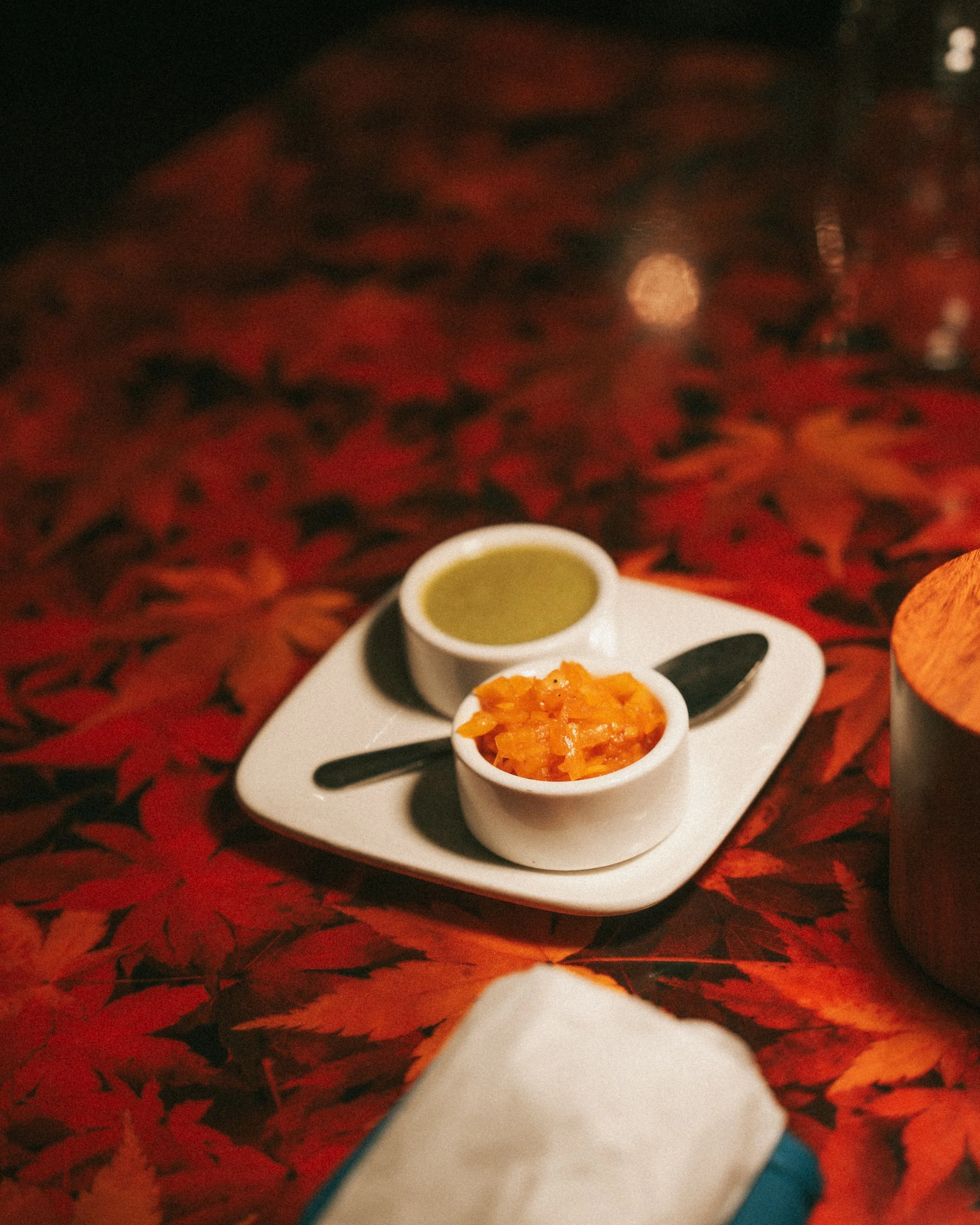 Sarah and Ayan Northampton, MA Elopement - Dinner -22.jpg