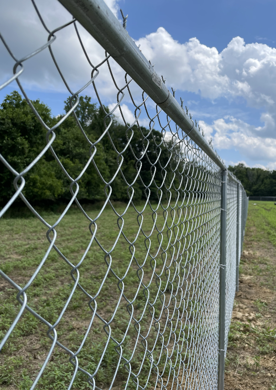 Screenshot 2025-01-07 at 1.38.55 PM.png