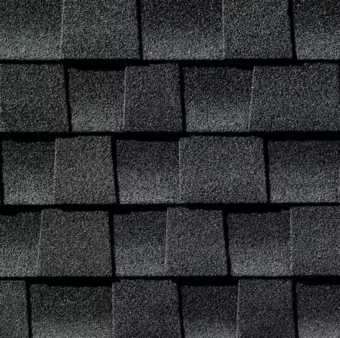 Close-up of black asphalt shingles on a roof.