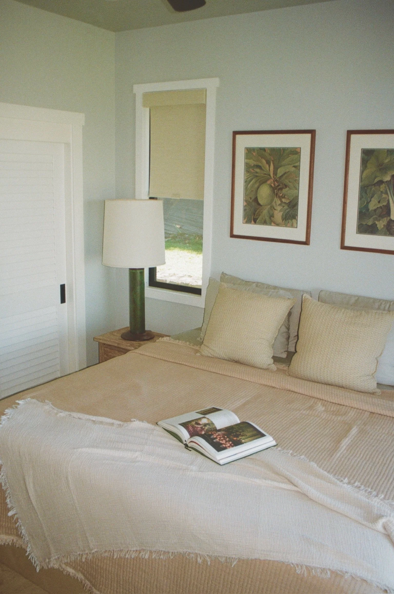 Photo Apr 02 2025, 10 56 32 AM (28) (1).jpeg