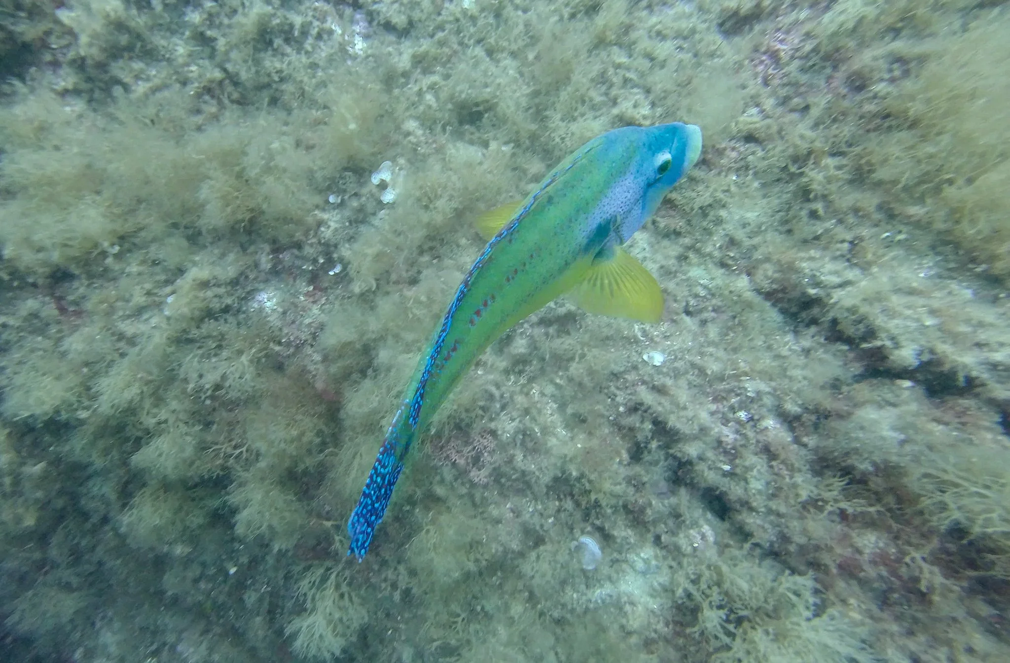 Shared from Lightroom mobile(9).jpg