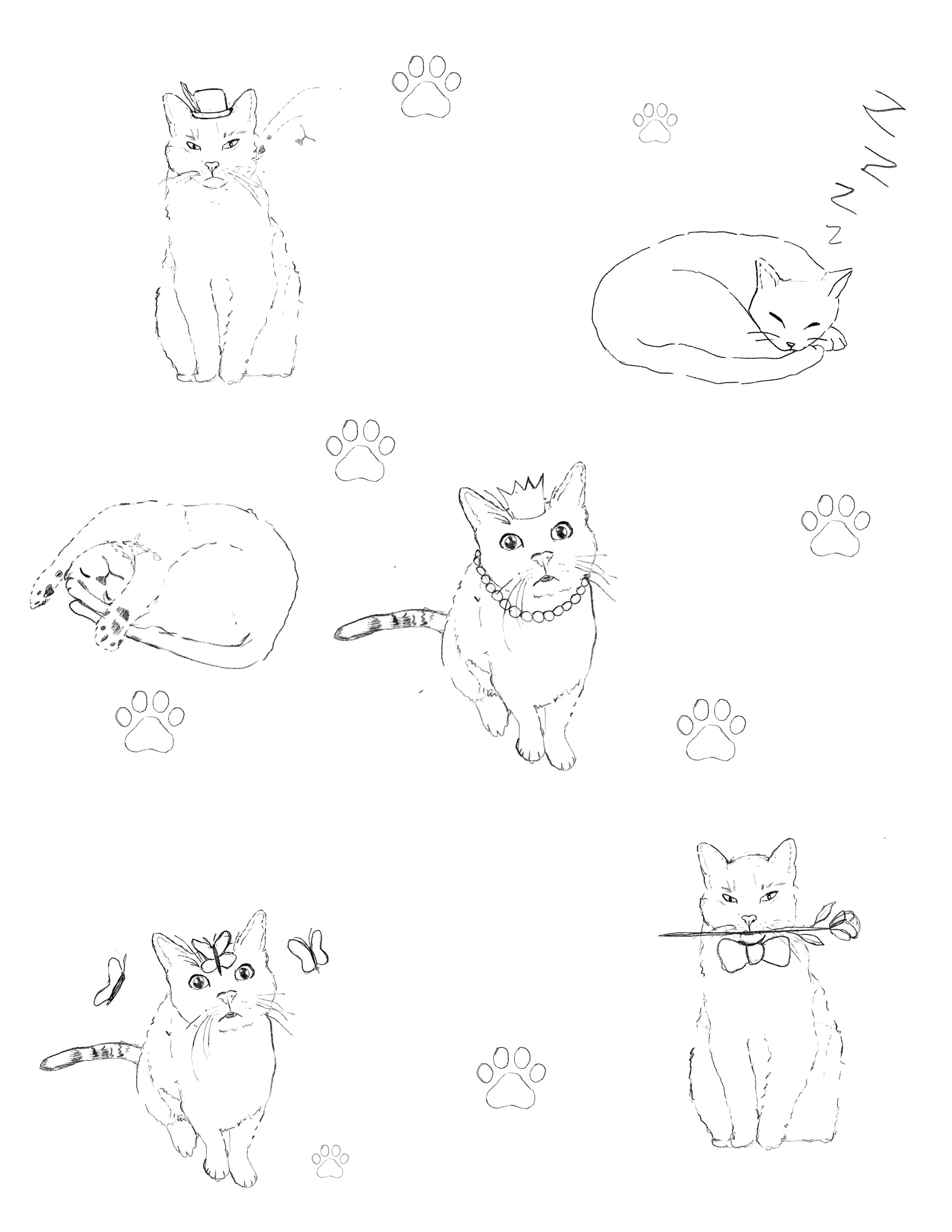 Cat flash.jpg