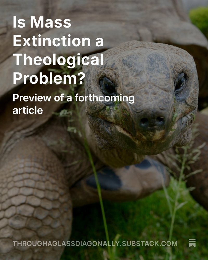 Hi, I'm Tony. I share nonspecialist-friendly theological writings on my substack. 

This time it's a brief synopsis of a scholarly piece coming out in a journal of religion and science. 🛐+🔬 

I'd love to hear what you think:

https://throughaglassd