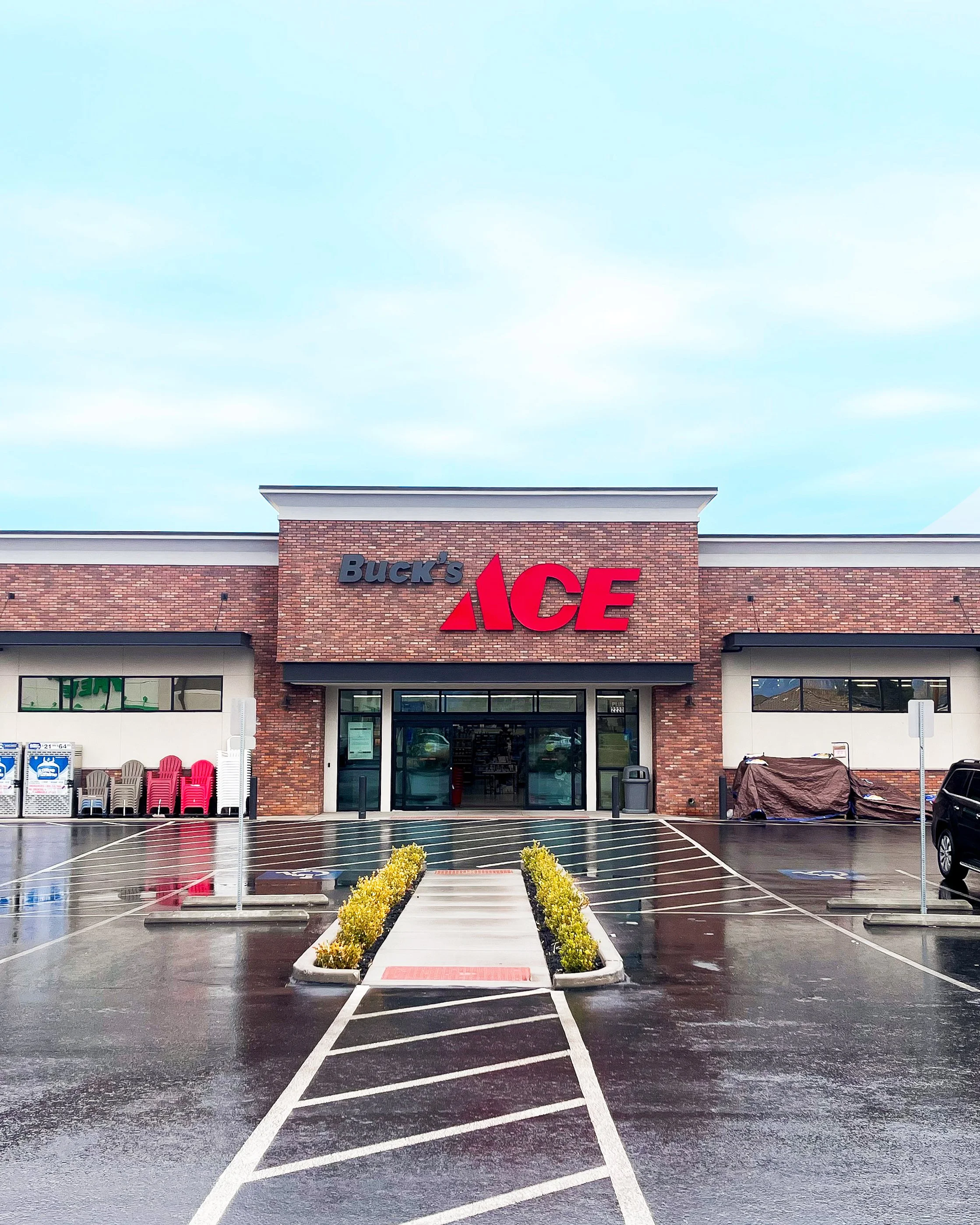 Ace Hardware In Santa Paula Ca Bucks Ace