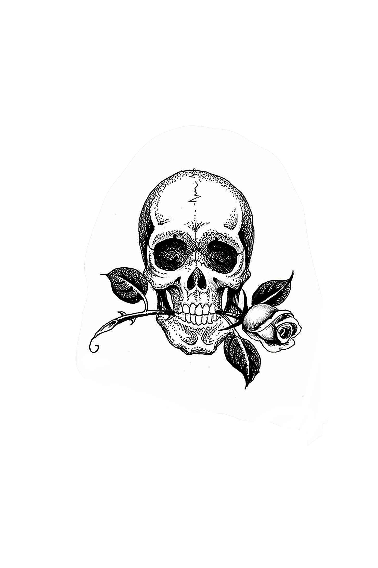 IMG_5342.PNG