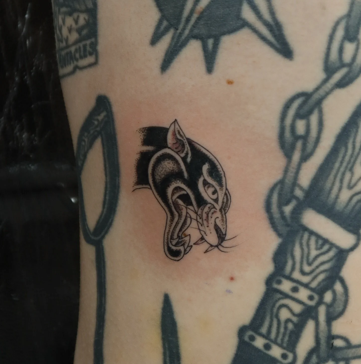 Healed lady/spiderweb combo, a fresh reaper on horseback and a wee little panther head to finish of a long day for Toby - thanks again 🙏&hearts;️ 
📍tattooing @raincitytattoocollective Manchester UK
🇬🇧 London waitlist open 
✉️to enquire, use the f