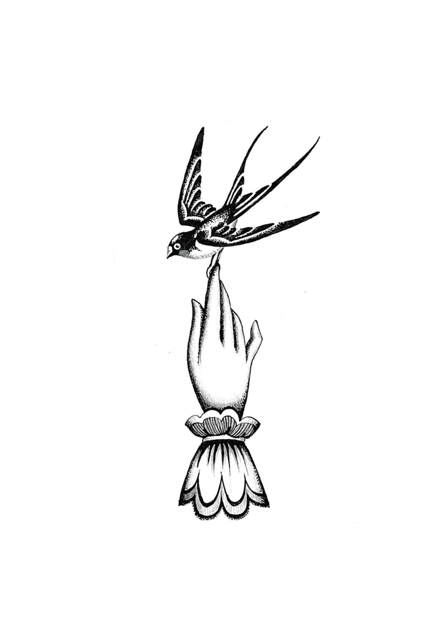 IMG_5341.PNG