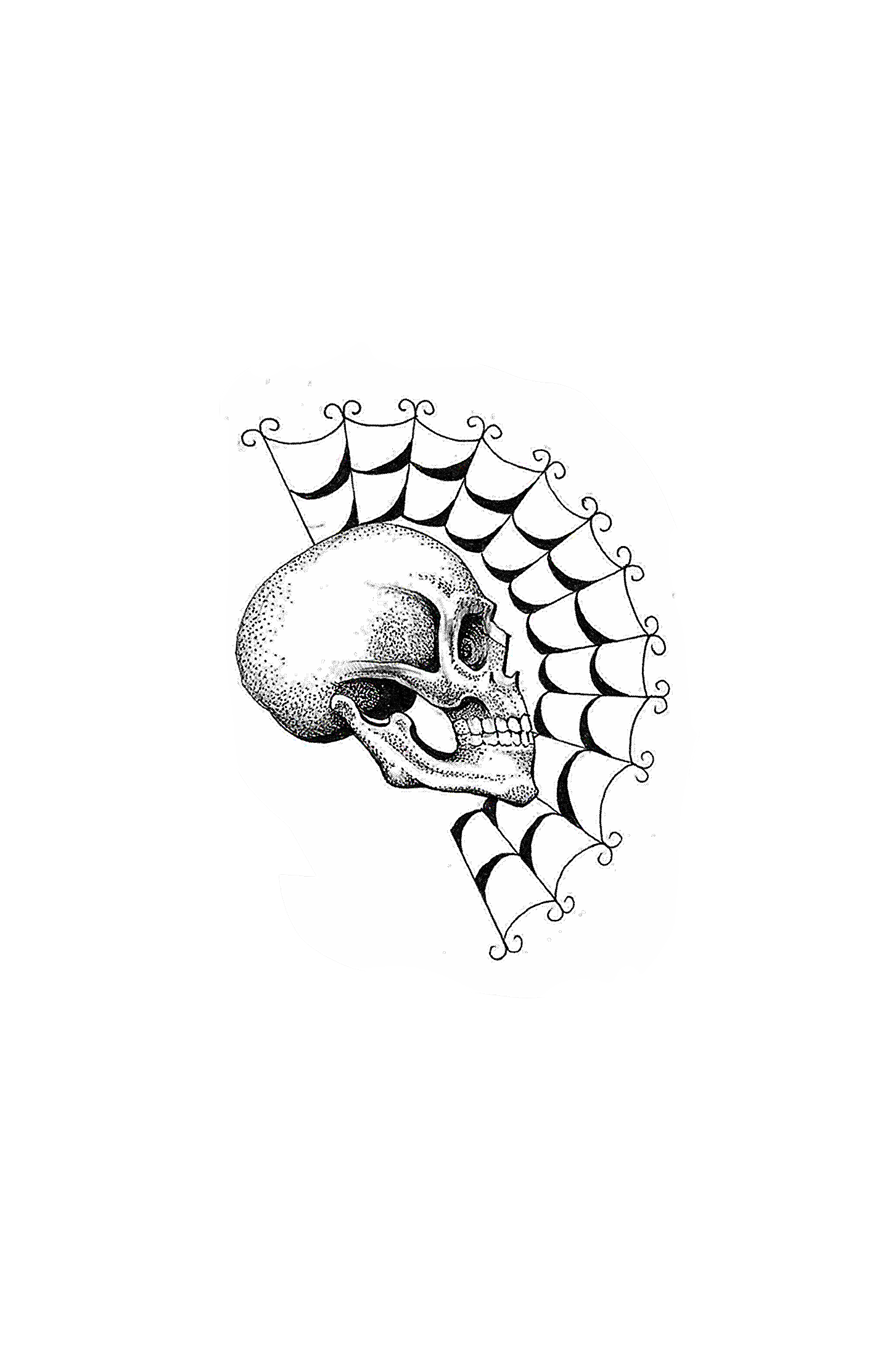 IMG_5346.PNG