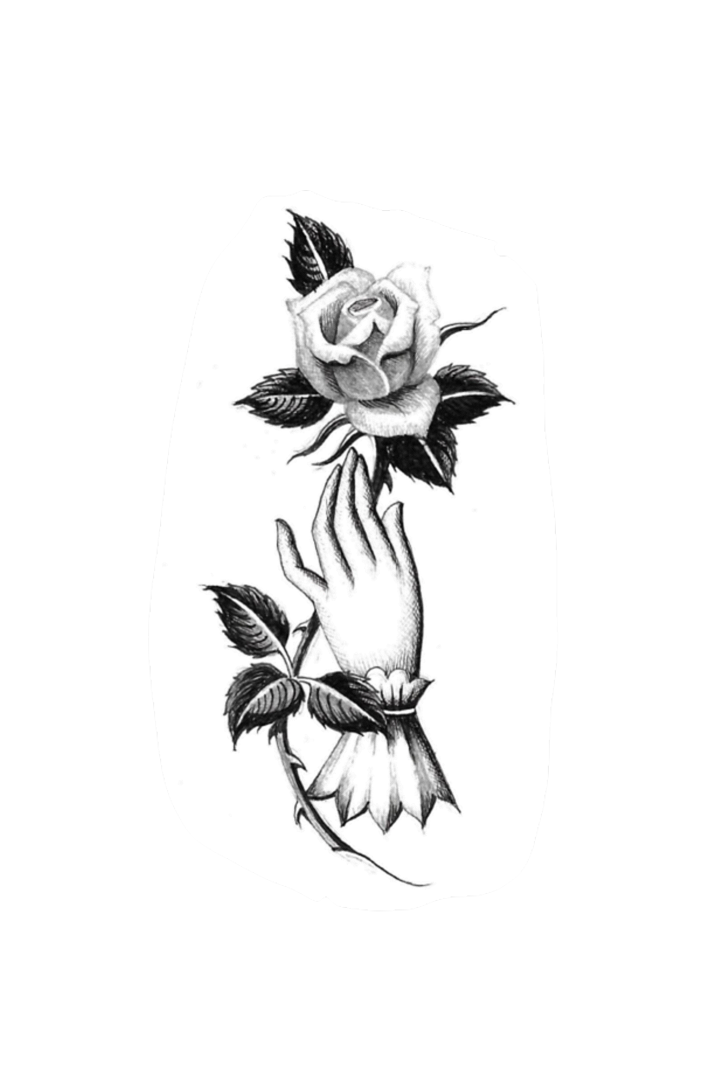 IMG_5337.PNG
