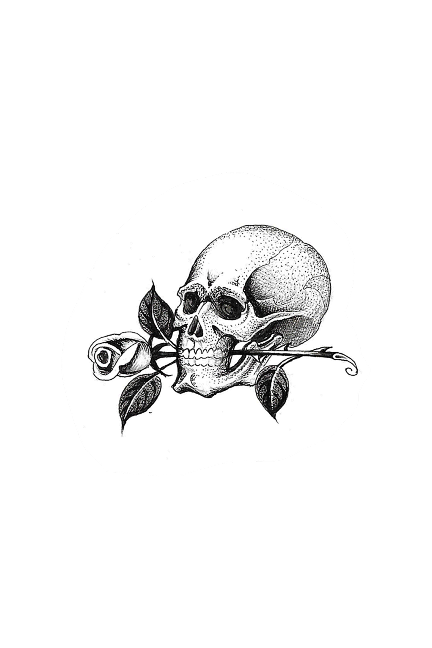 IMG_5345.PNG
