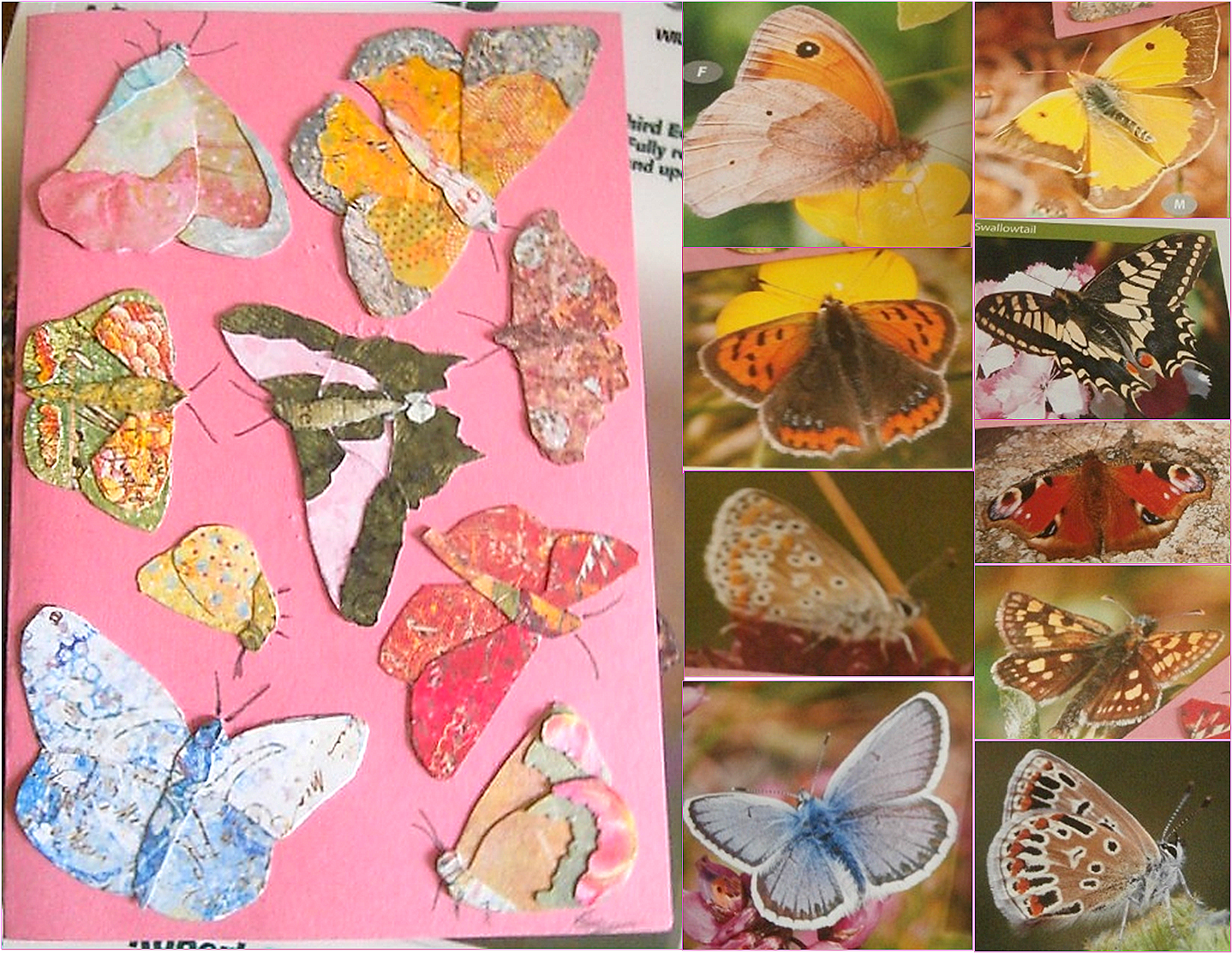 Left: a handmade card depicting nine butterflies; right: nine images of butterflies, each one corresponding to a butterfly seen on the card pictured left