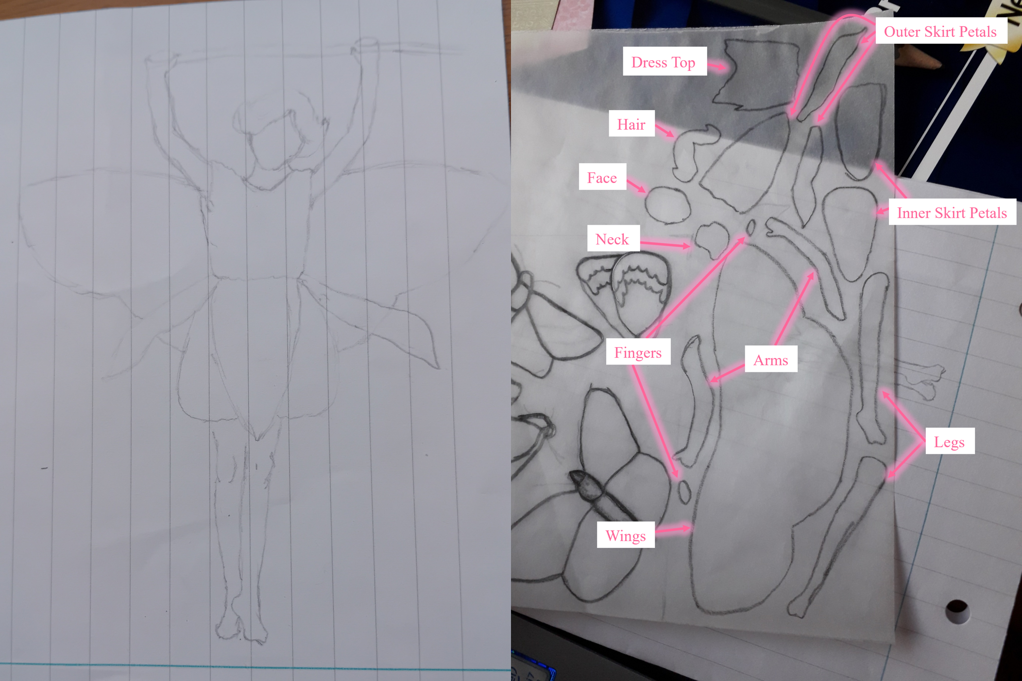 Left: an outline sketch of a fairy holding on to a twig; right: a sheet of tracing paper with various shapes drawn on it, with labels such as "Face", "Arms", "Wings" and "Outer Skirt Petals"