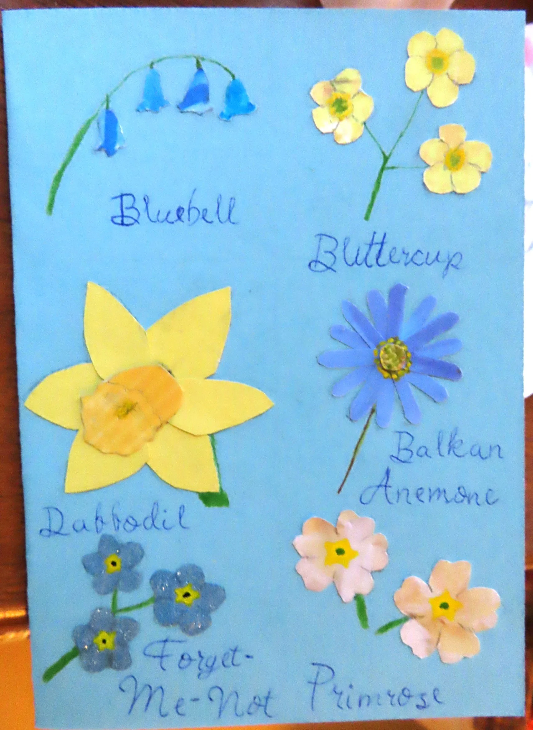 A handmade card depicting six different types of flowers, each labelled in cursive script: bluebell, buttercup, daffodil, Balkan anemone, forget-me-not and primrose