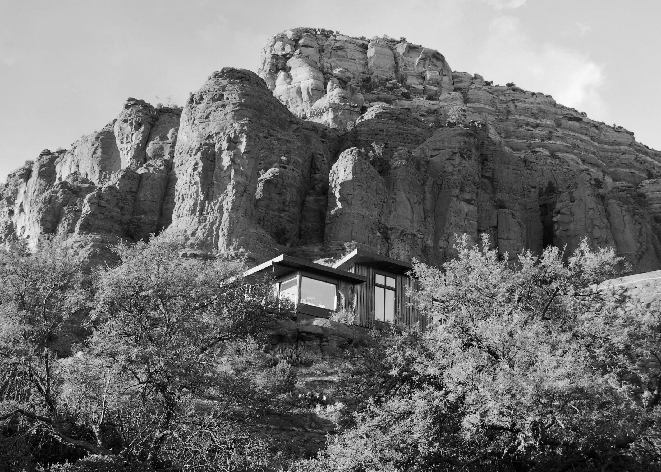 ARIZONA APPELLATE COURT RULES THAT COVID CLOSURES DO NOT EXCUSE TENANT’S NON-PAYMENT OF RENT