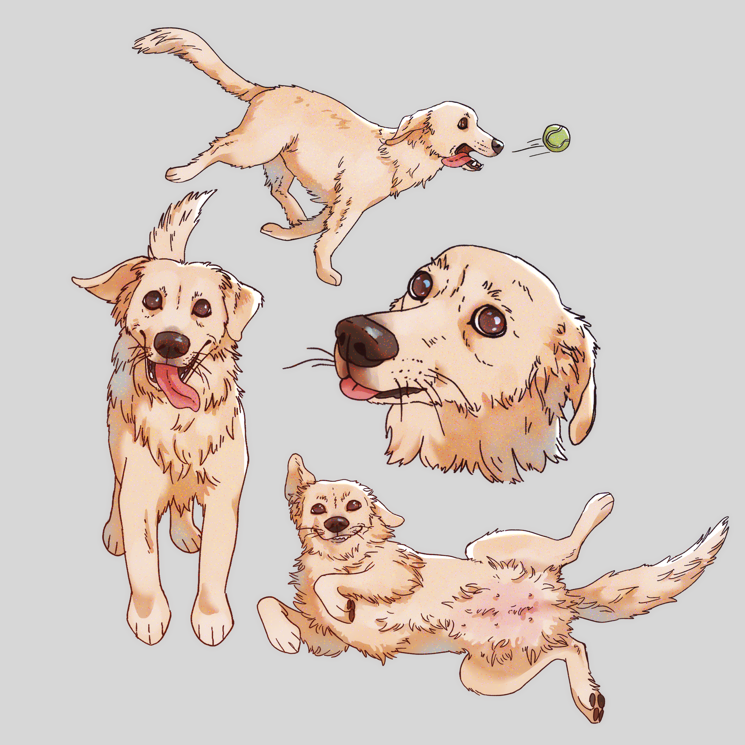 Illustration7.png