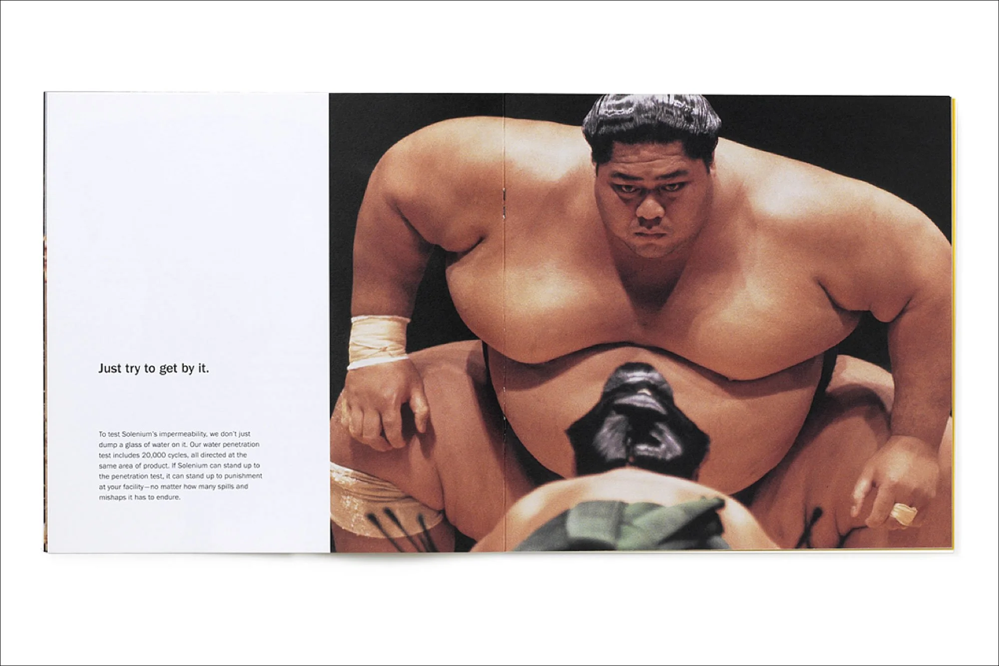4-Solenium-inside-spread.jpg