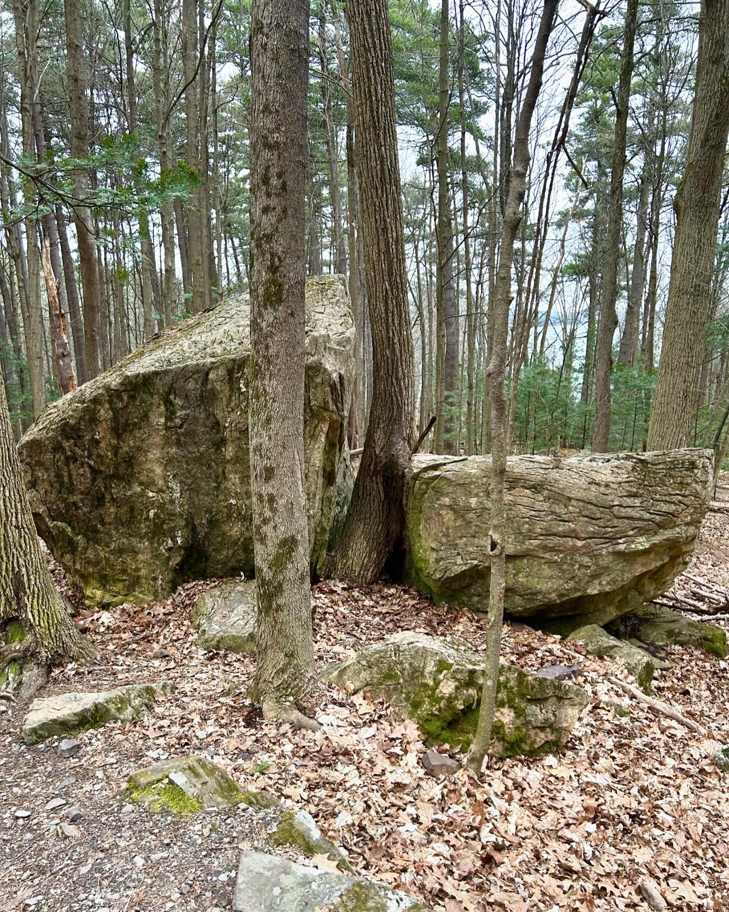 Red Rock tour 3.9.24
&bull;
&bull;
&bull;
&bull;
#redrocks #naturewalk #winterwalk #naturepark #southburlingtonvt #splitrock #redrocktour