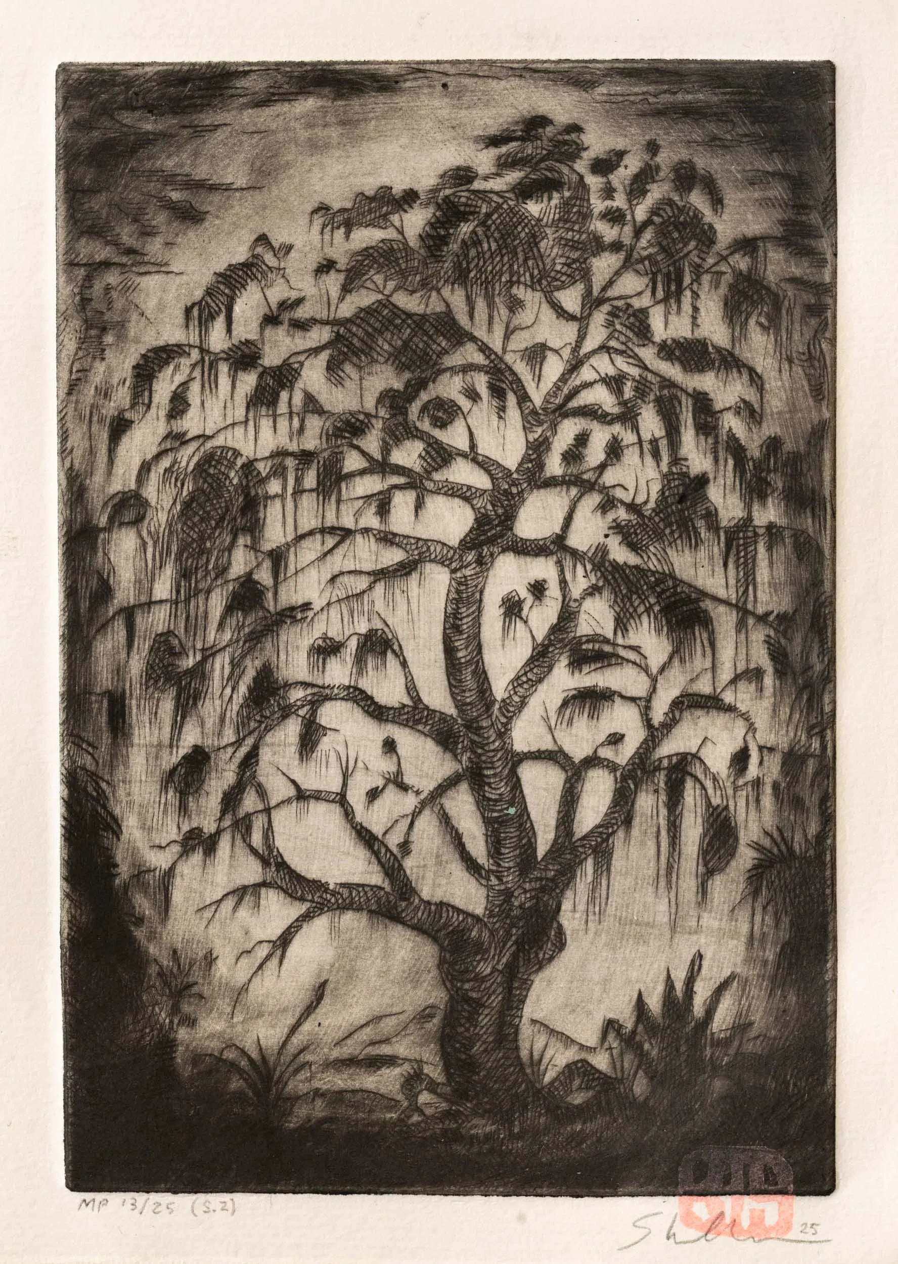 Live Oak (MP 13/15 s. 2). 2025, Oil based drypoint. (6 x 4 in.)