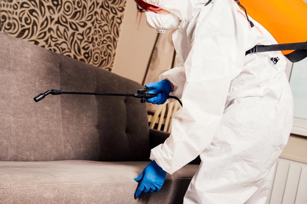 Pest Control Services