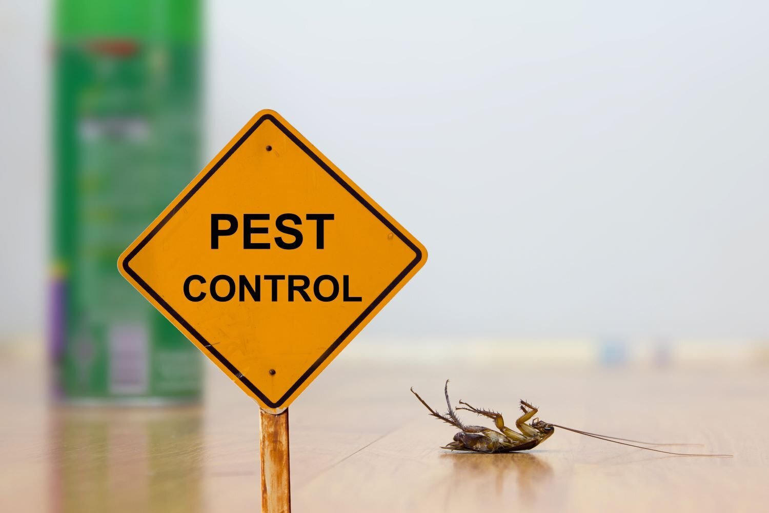 No Chemical Pest Control!, pest