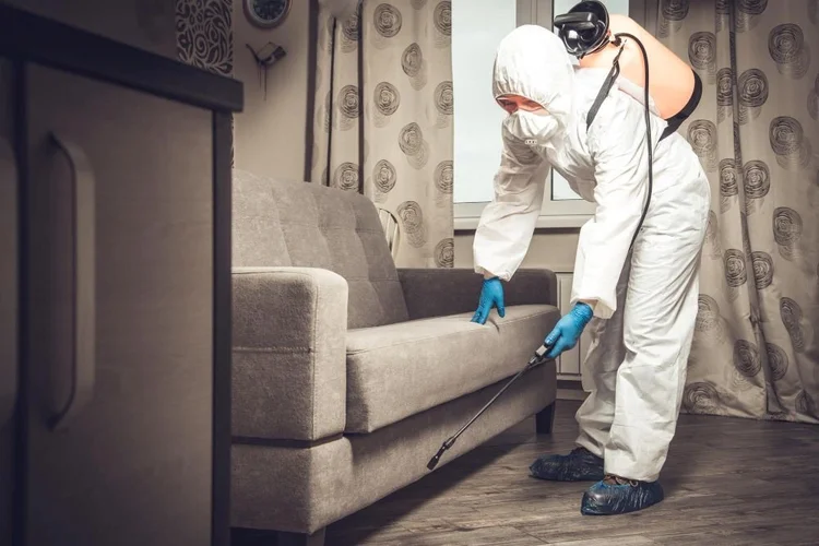 Bed Bug Exterminators Can be the Best Killers of Pests Here’s How